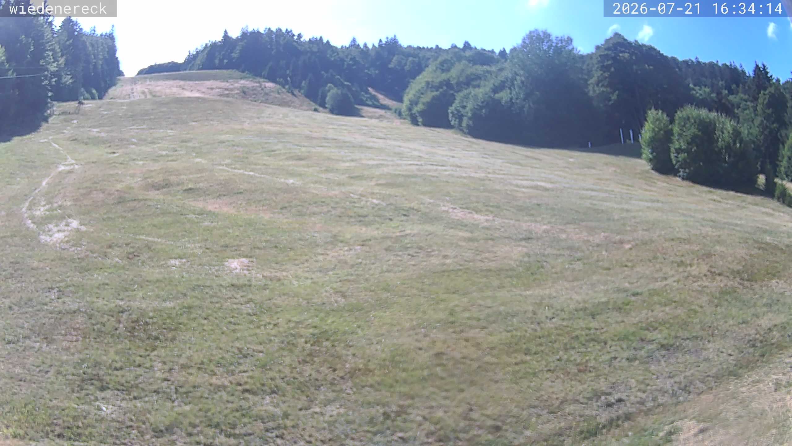 Archiv Foto Webcam Münstertal-Wieden: Rollspitz