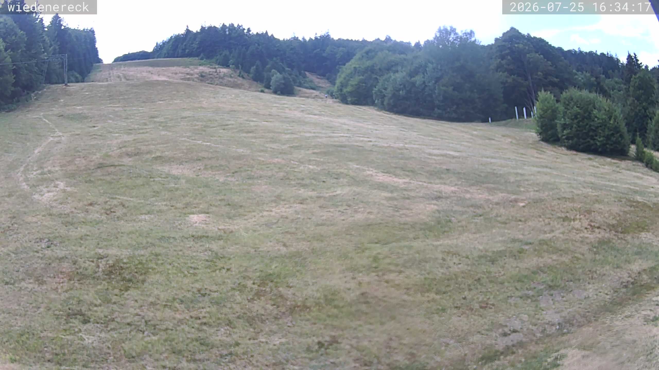 Archived image Webcam Rollspitz Münstertal-Wieden