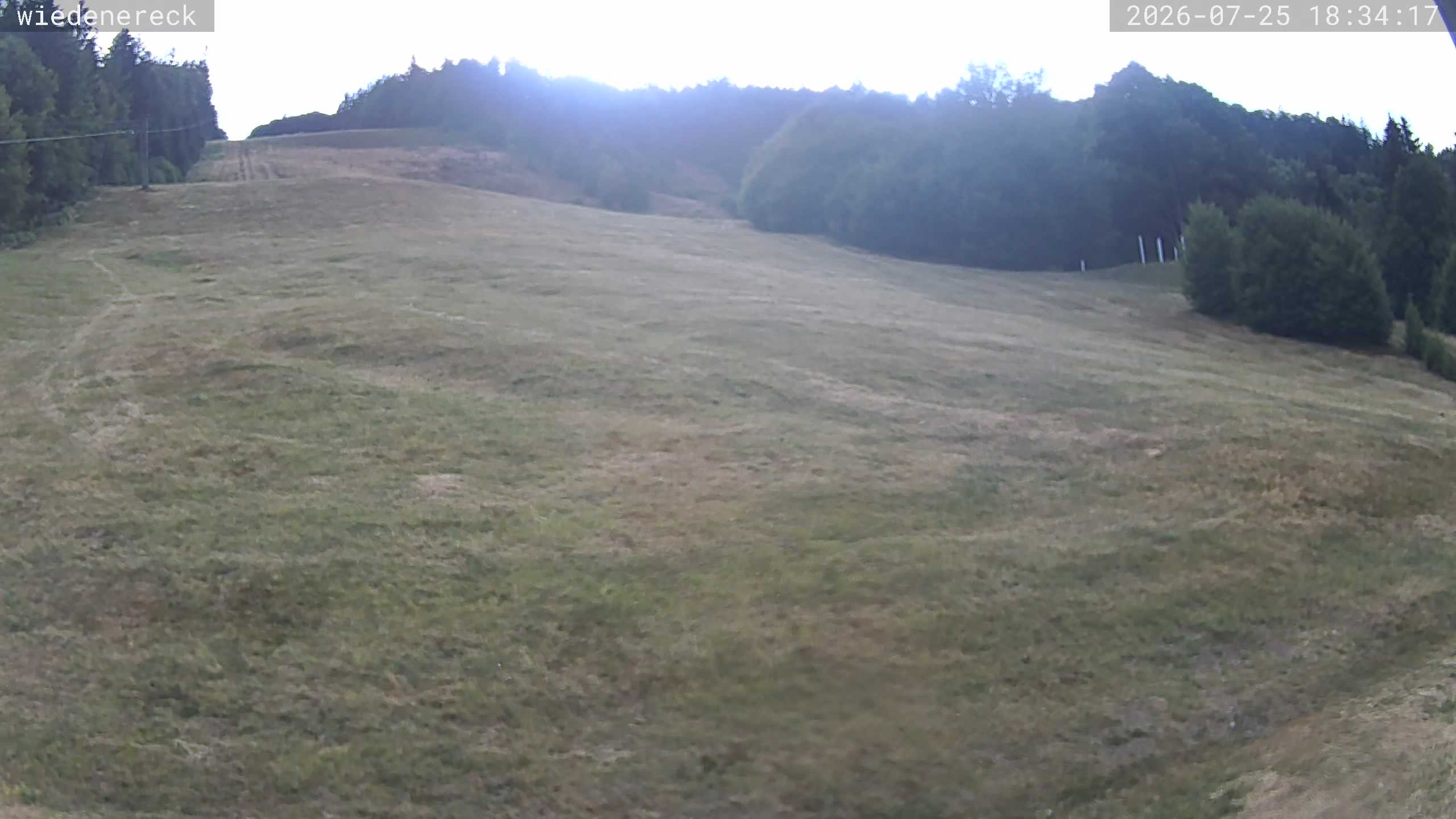 Archived image Webcam Rollspitz Münstertal-Wieden