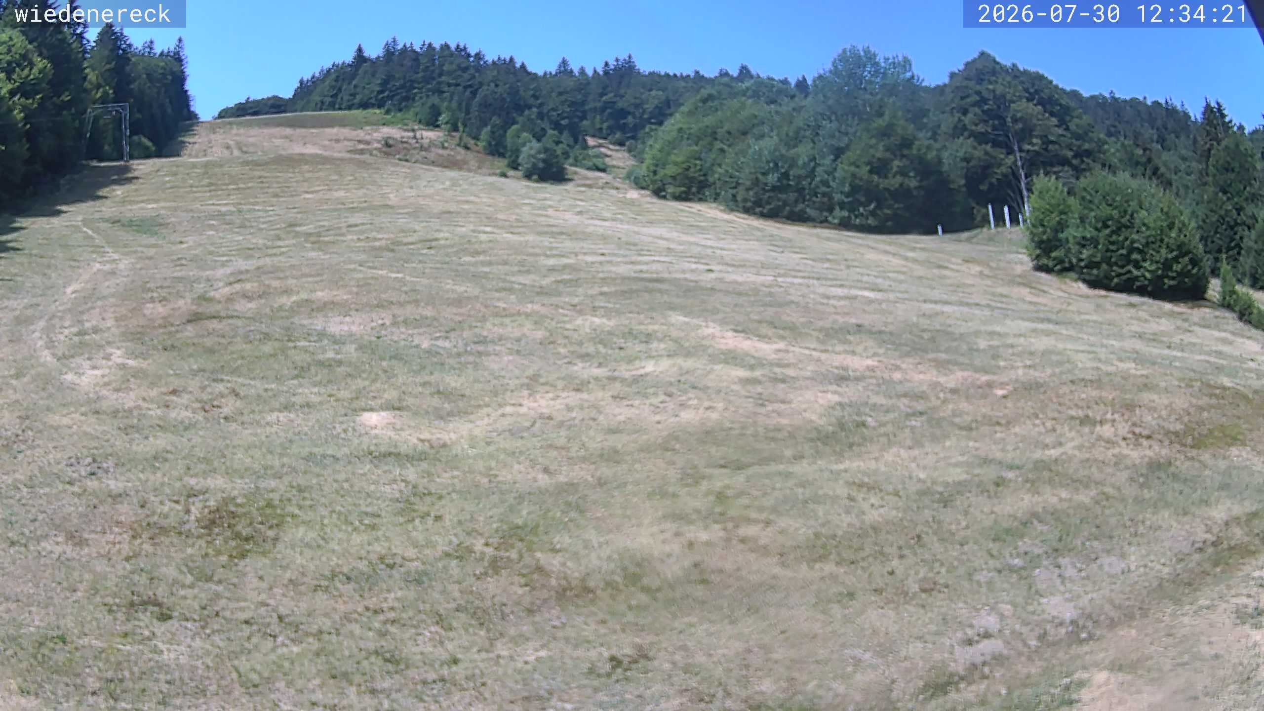 Archiv Foto Webcam Münstertal-Wieden: Rollspitz