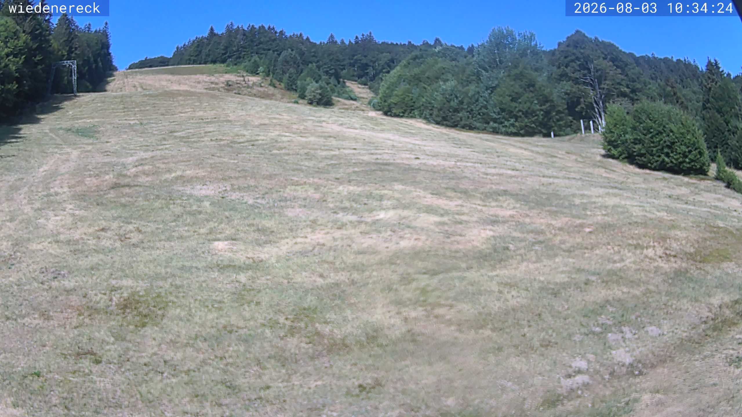 Archived image Webcam Rollspitz Münstertal-Wieden
