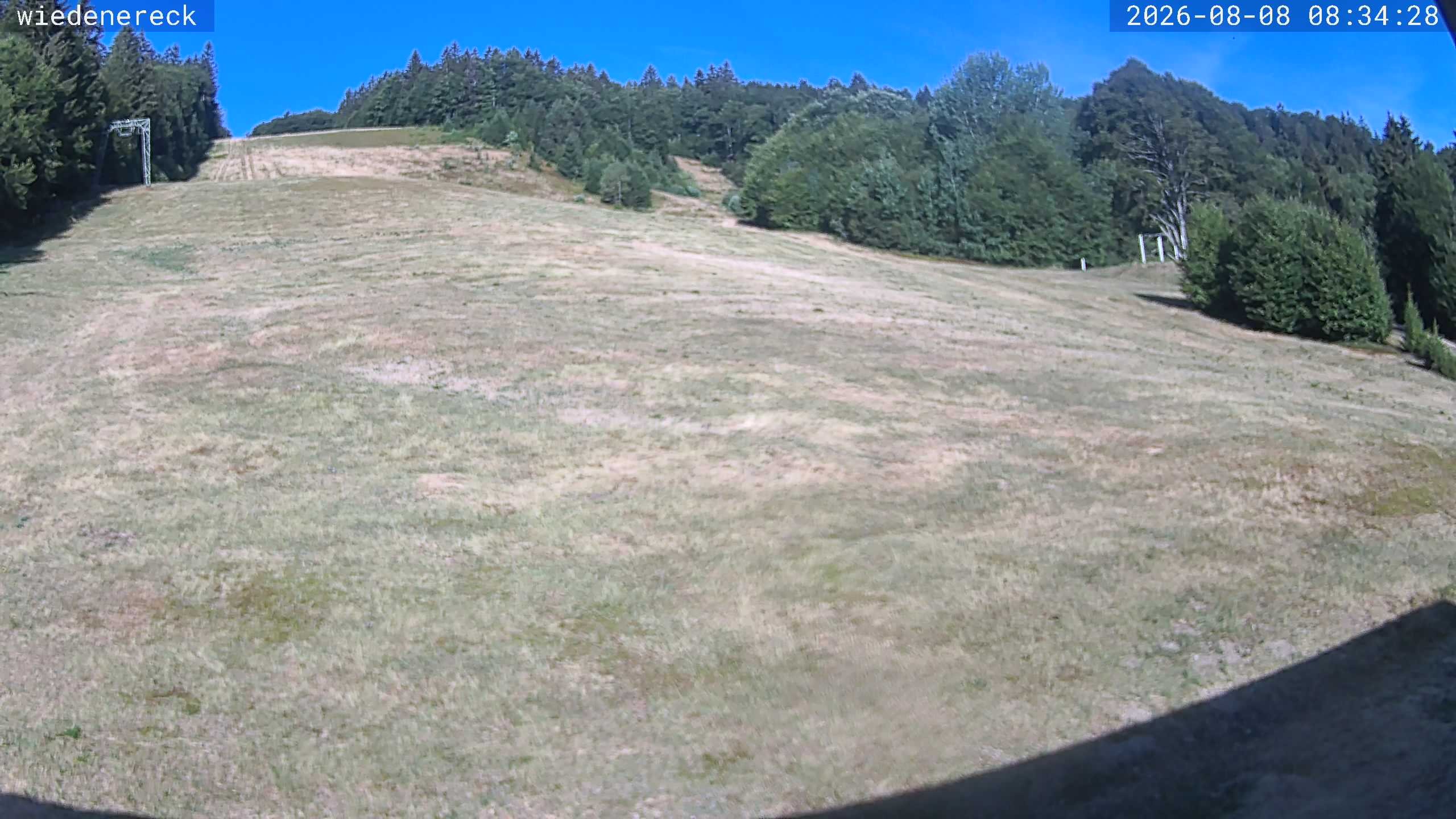 Archiv Foto Webcam Münstertal-Wieden: Rollspitz