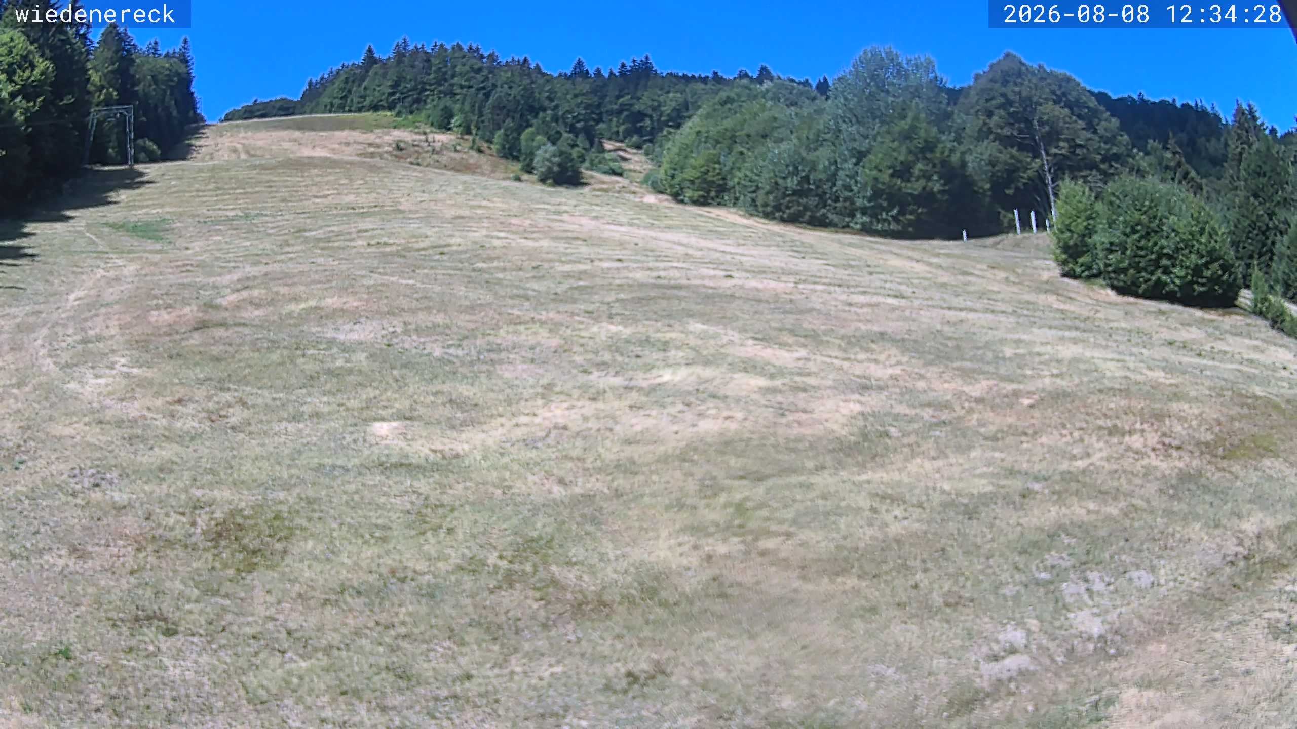 Archived image Webcam Rollspitz Münstertal-Wieden