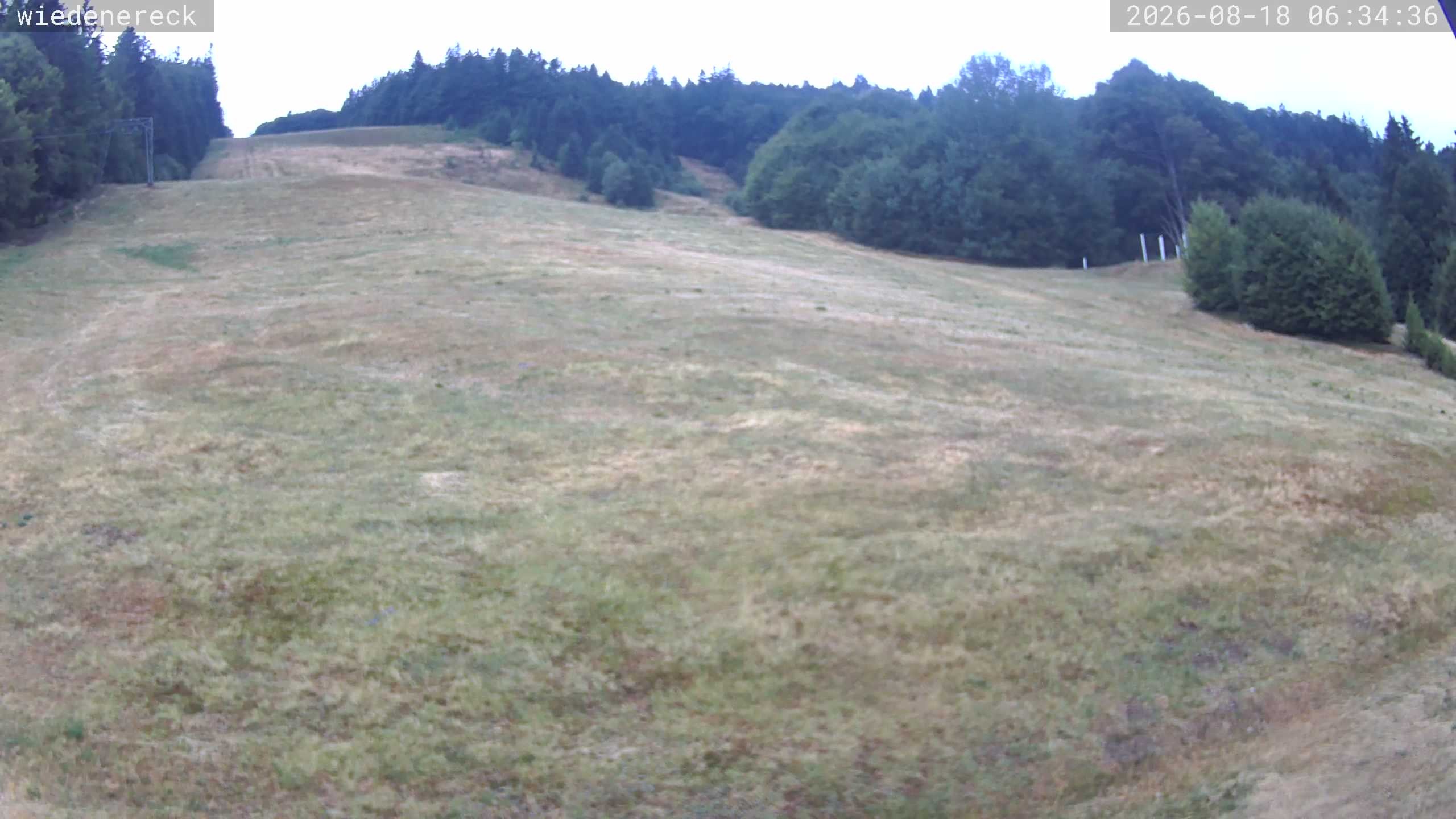 Archiv Foto Webcam Münstertal-Wieden: Rollspitz