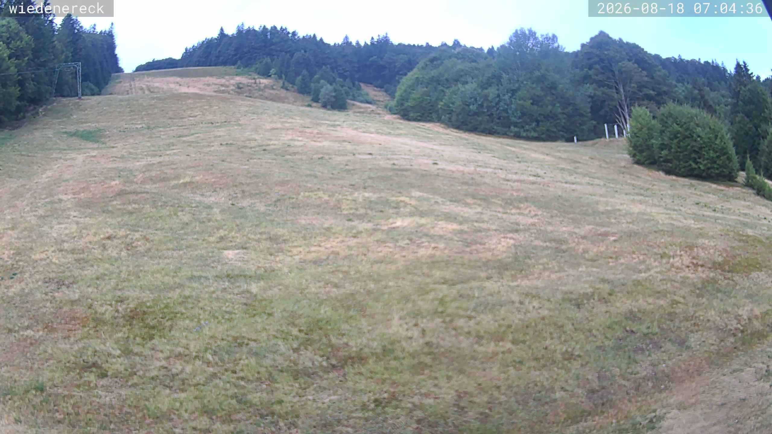 Archiv Foto Webcam Münstertal-Wieden: Rollspitz