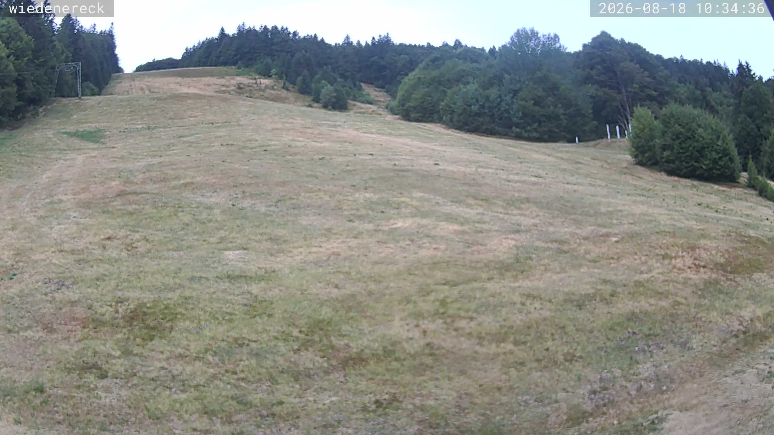 Archiv Foto Webcam Münstertal-Wieden: Rollspitz
