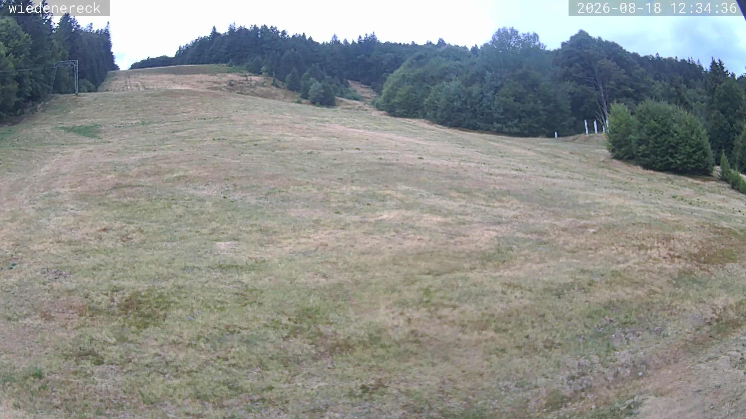 Archiv Foto Webcam Münstertal-Wieden: Rollspitz