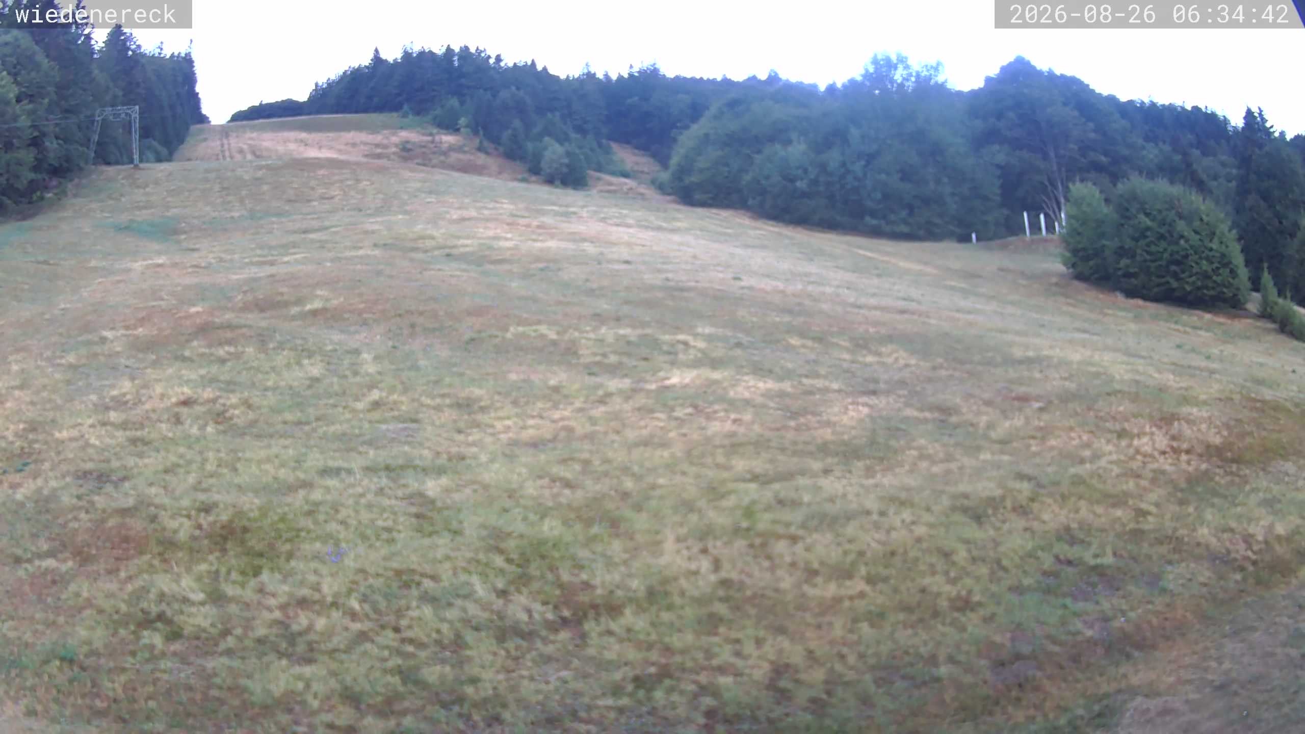 Archiv Foto Webcam Münstertal-Wieden: Rollspitz