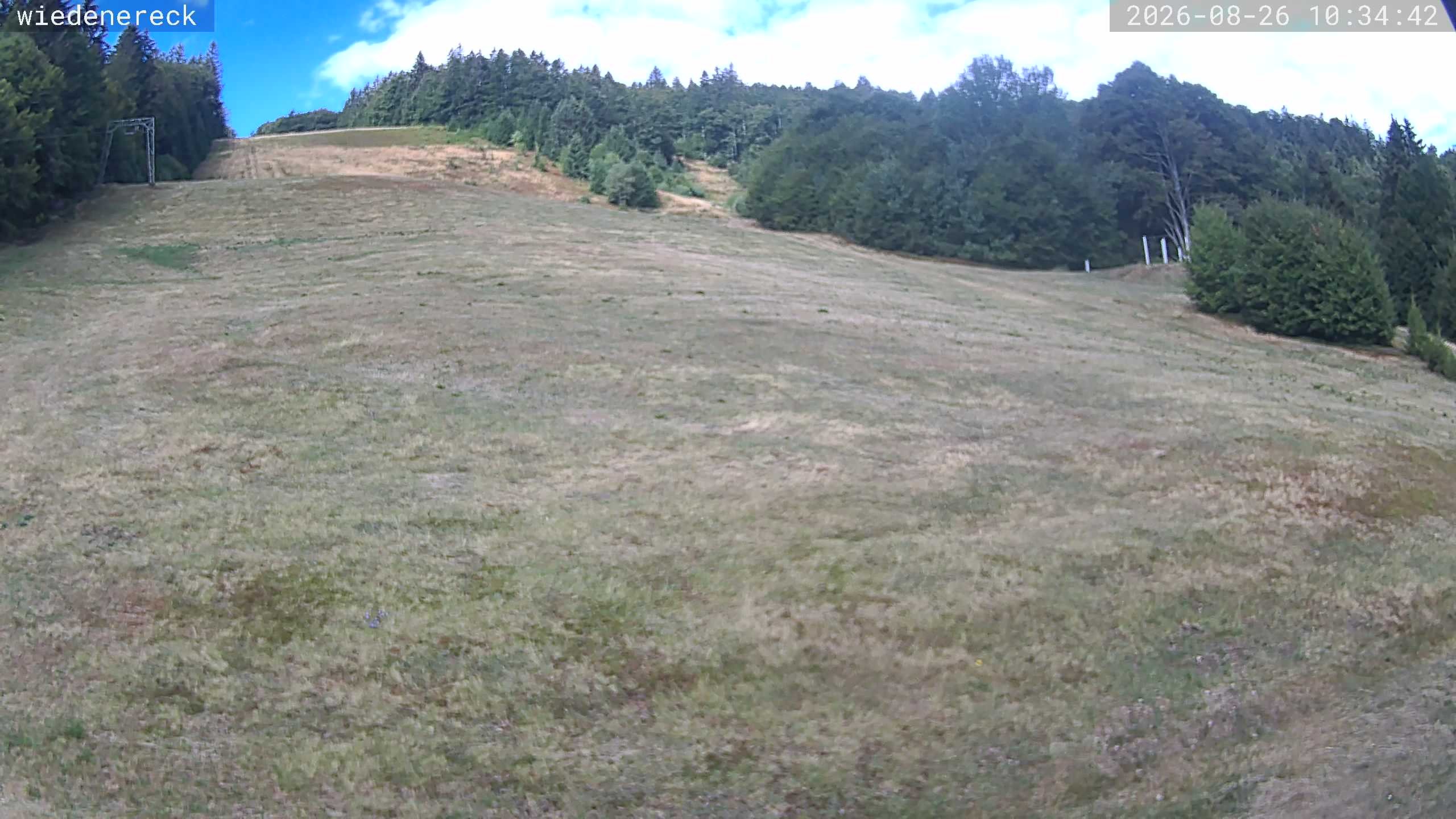 Archiv Foto Webcam Münstertal-Wieden: Rollspitz