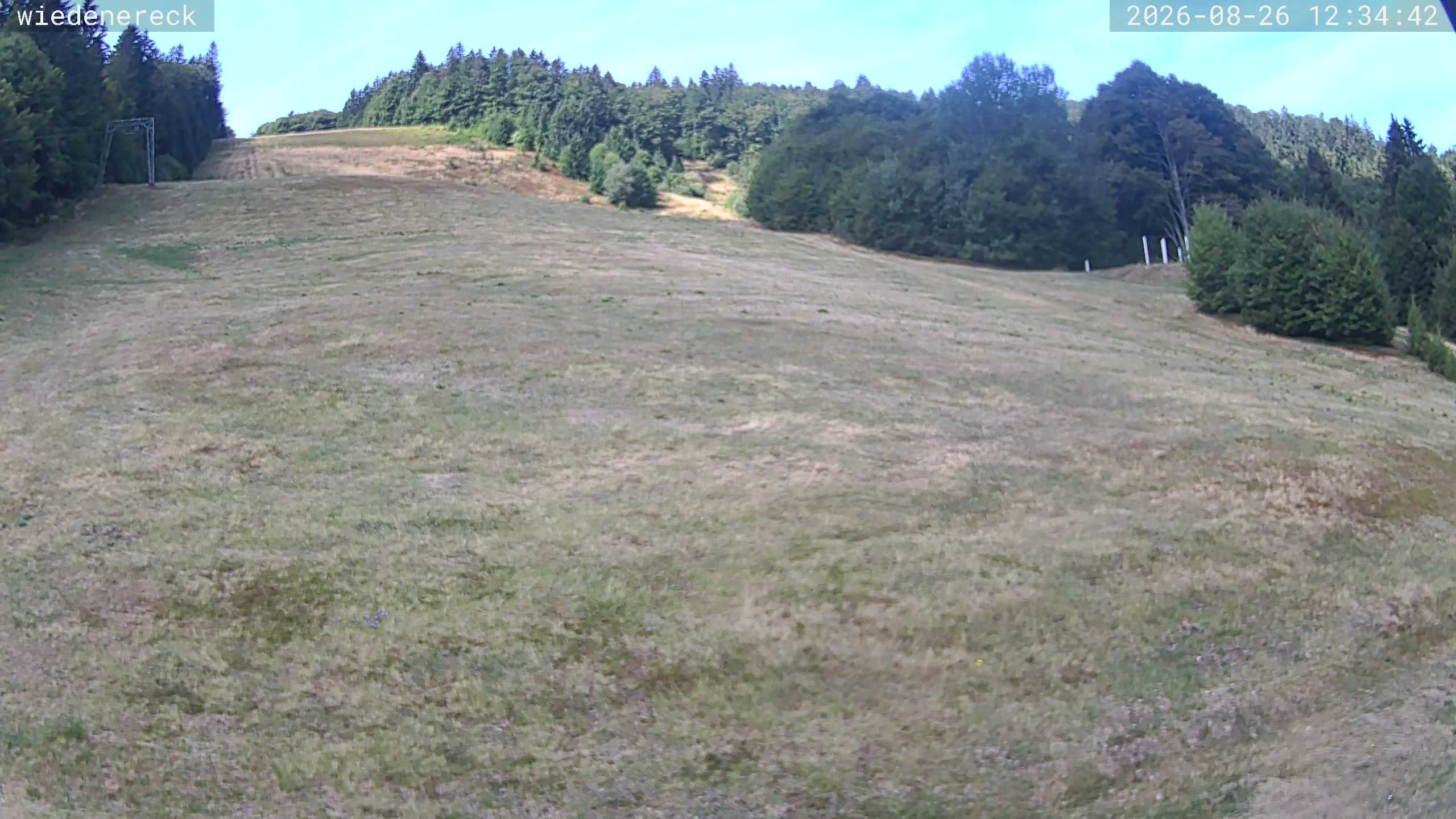 Archiv Foto Webcam Münstertal-Wieden: Rollspitz