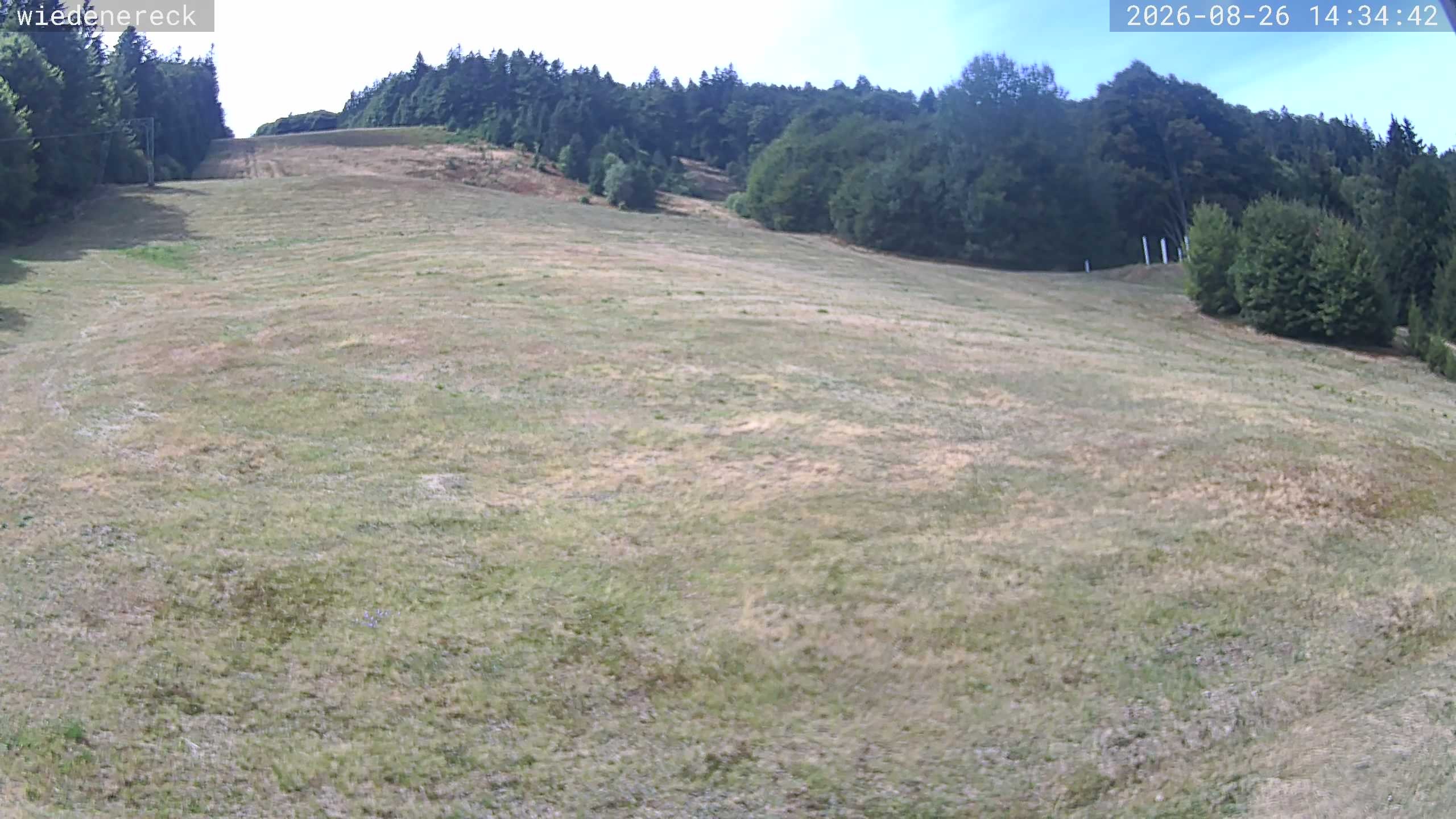 Archiv Foto Webcam Münstertal-Wieden: Rollspitz