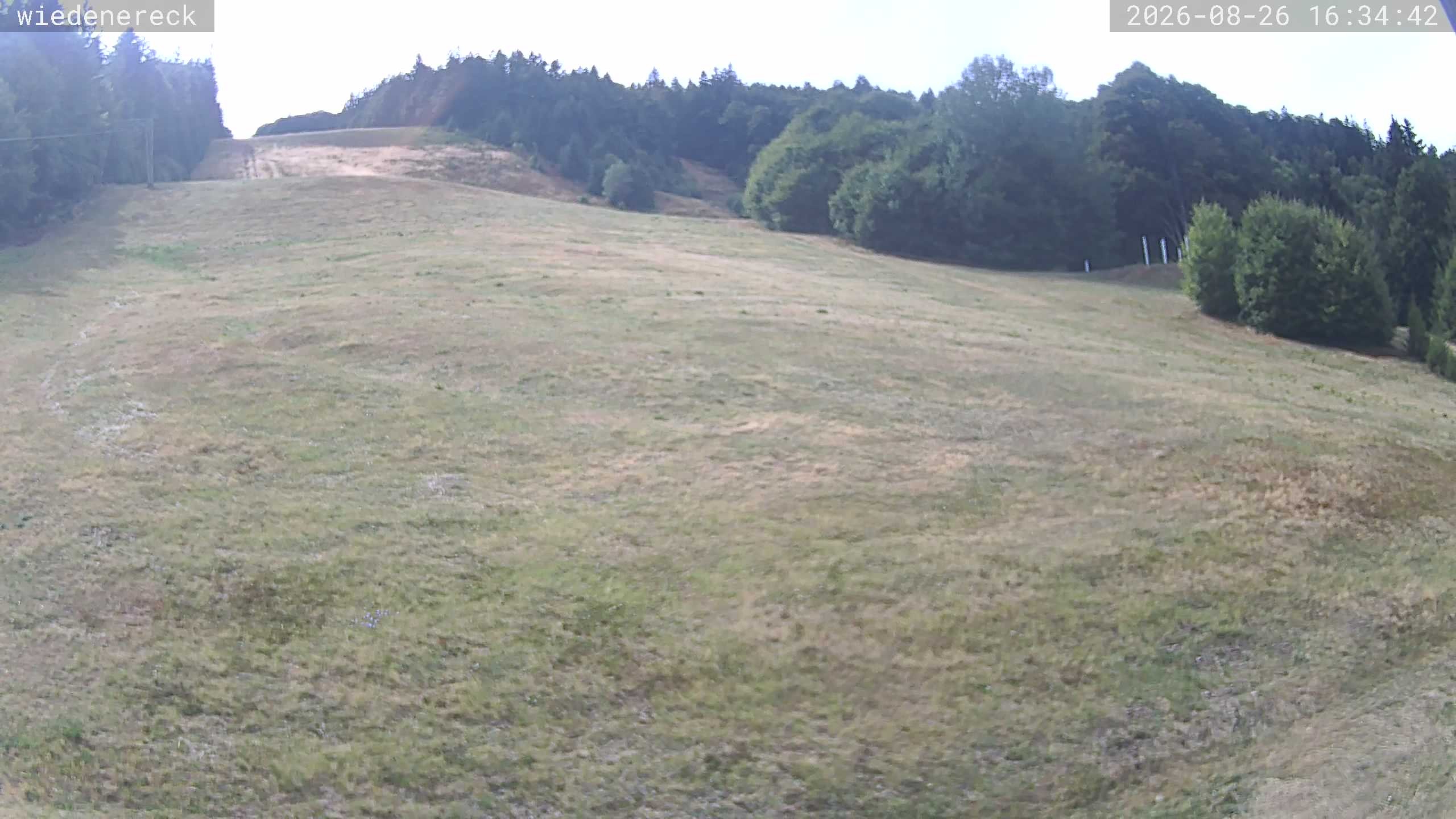 Archiv Foto Webcam Münstertal-Wieden: Rollspitz