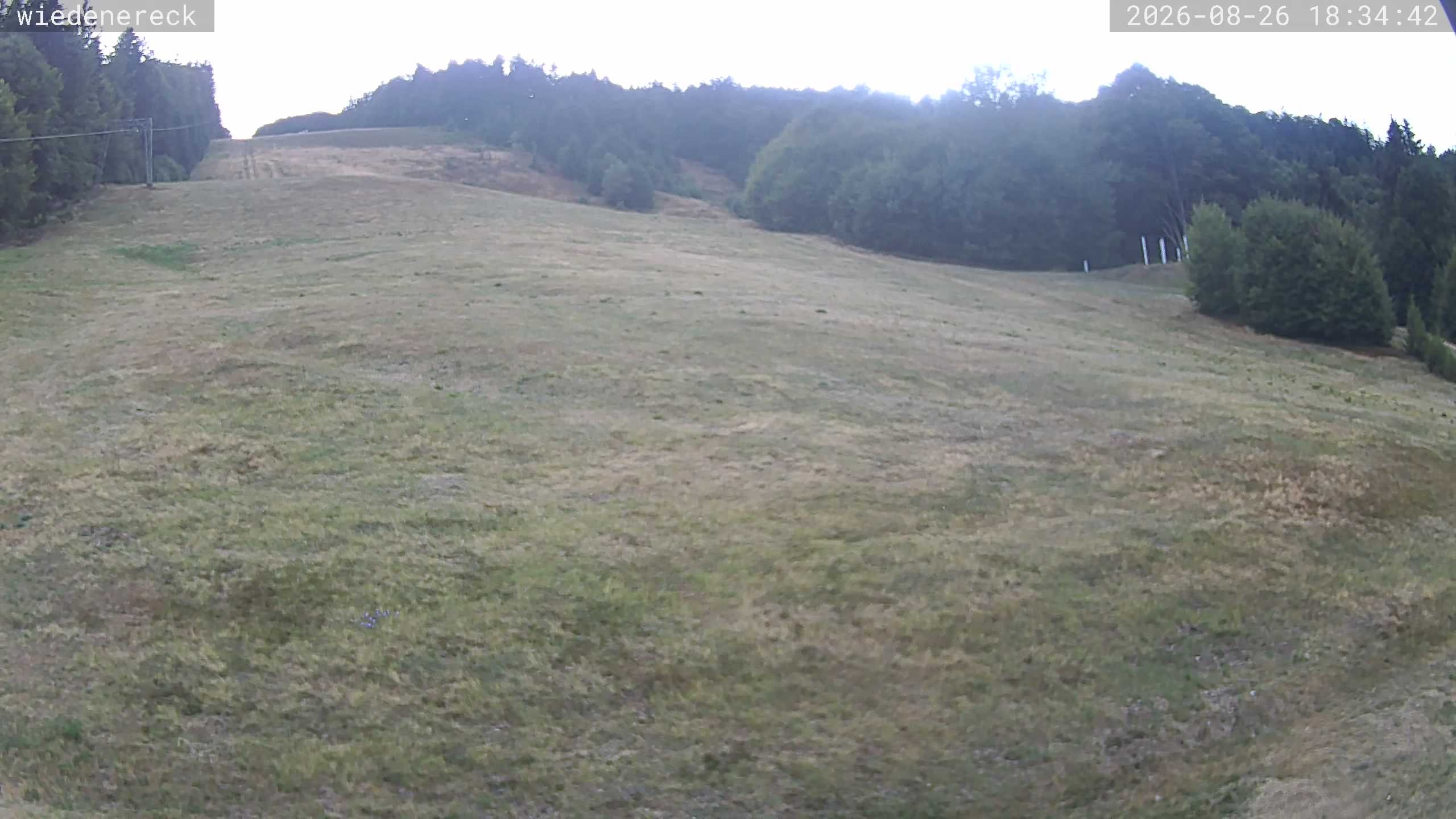 Archiv Foto Webcam Münstertal-Wieden: Rollspitz