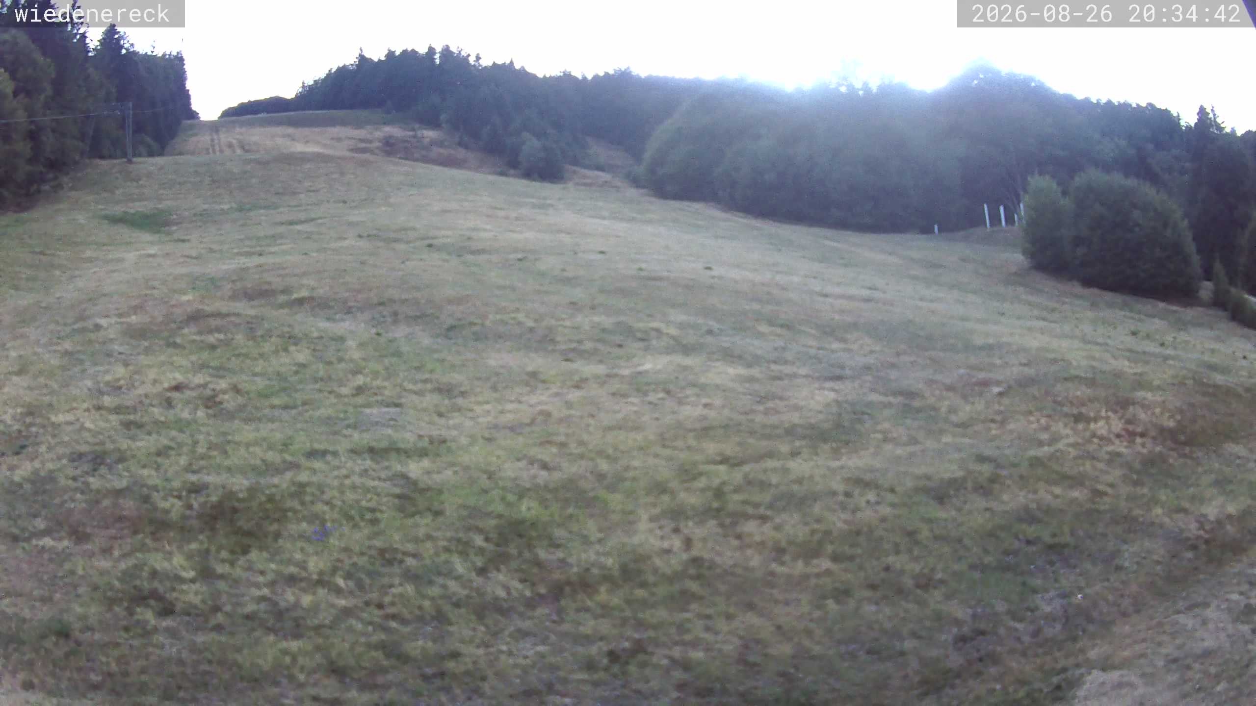 Archiv Foto Webcam Münstertal-Wieden: Rollspitz