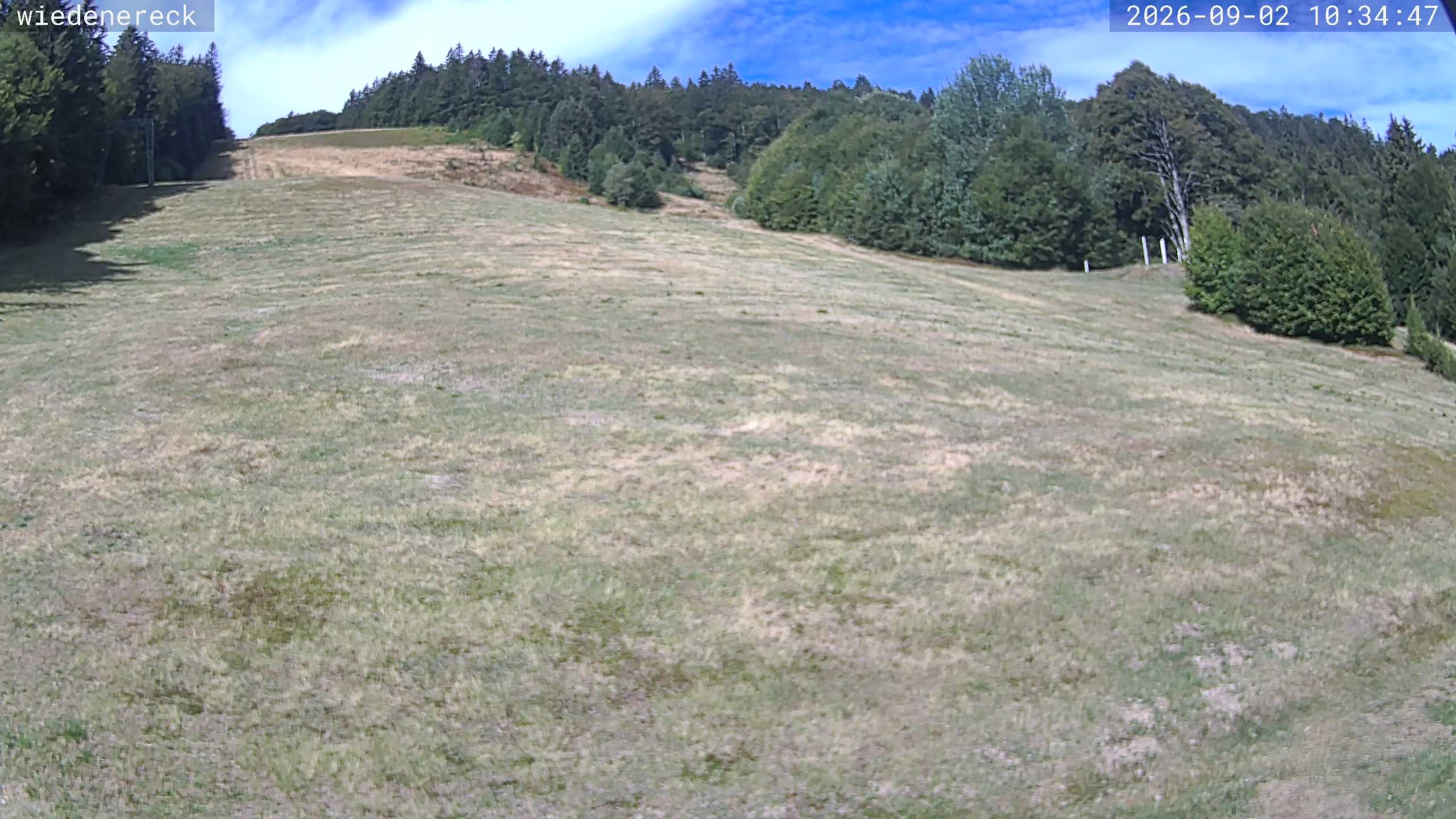Archived image Webcam Rollspitz Münstertal-Wieden