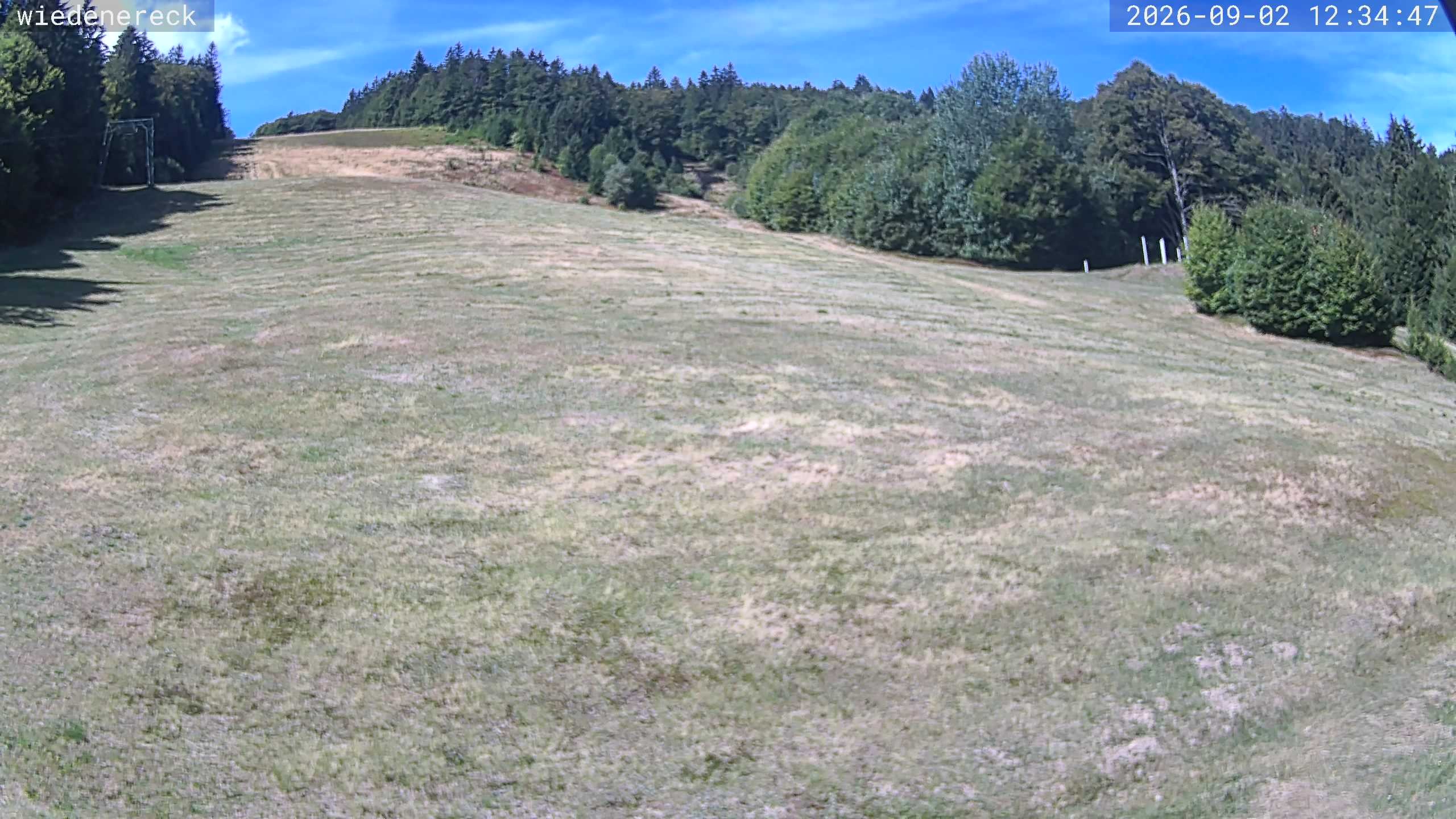 Archived image Webcam Rollspitz Münstertal-Wieden