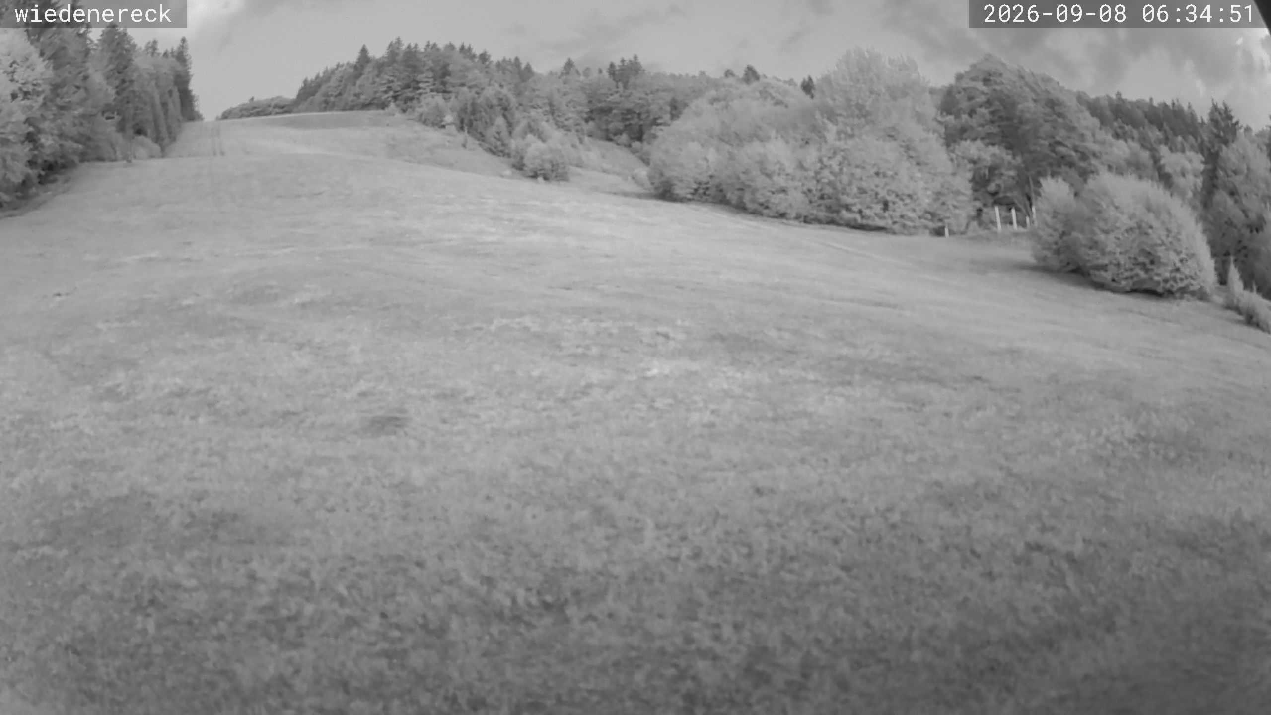 Archiv Foto Webcam Münstertal-Wieden: Rollspitz