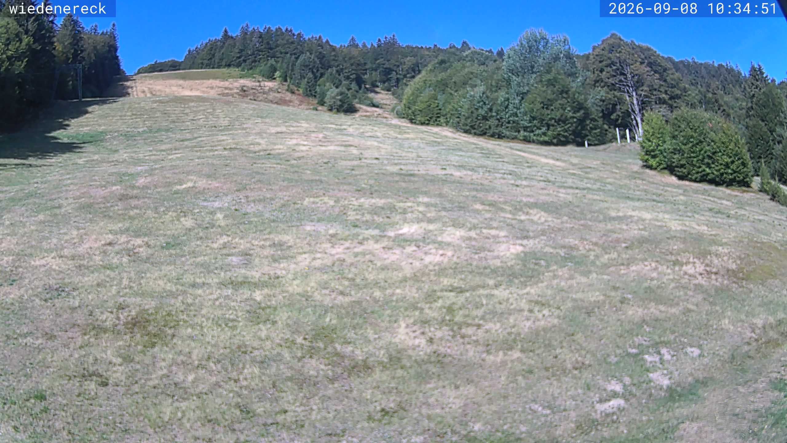 Archiv Foto Webcam Münstertal-Wieden: Rollspitz