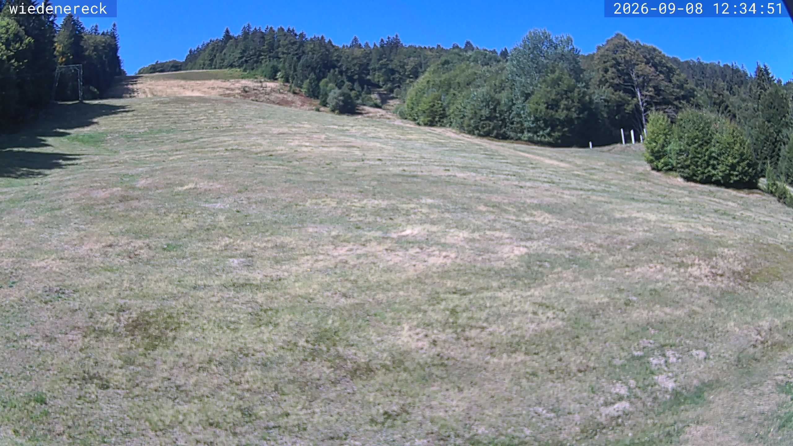 Archiv Foto Webcam Münstertal-Wieden: Rollspitz