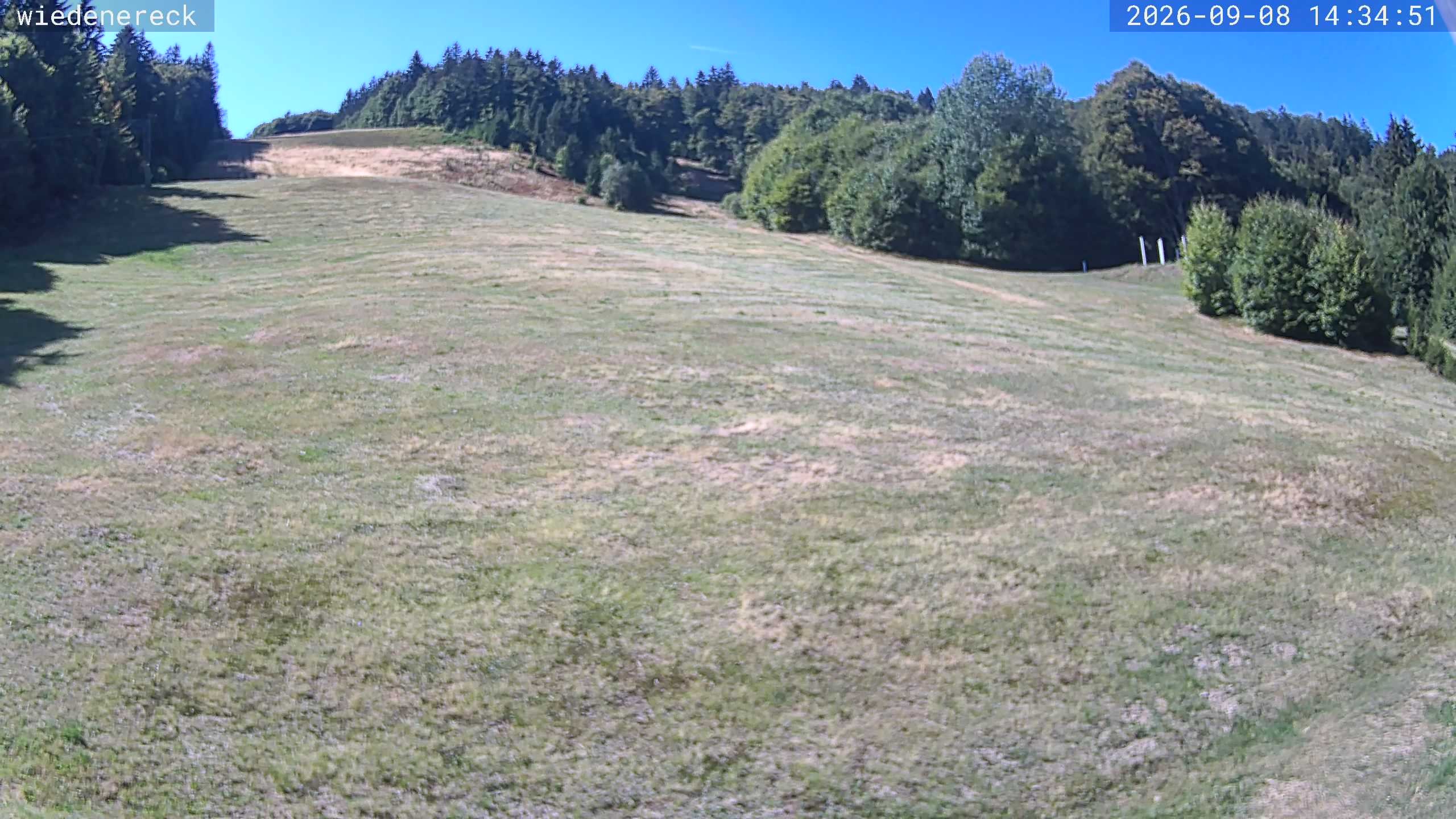 Archiv Foto Webcam Münstertal-Wieden: Rollspitz