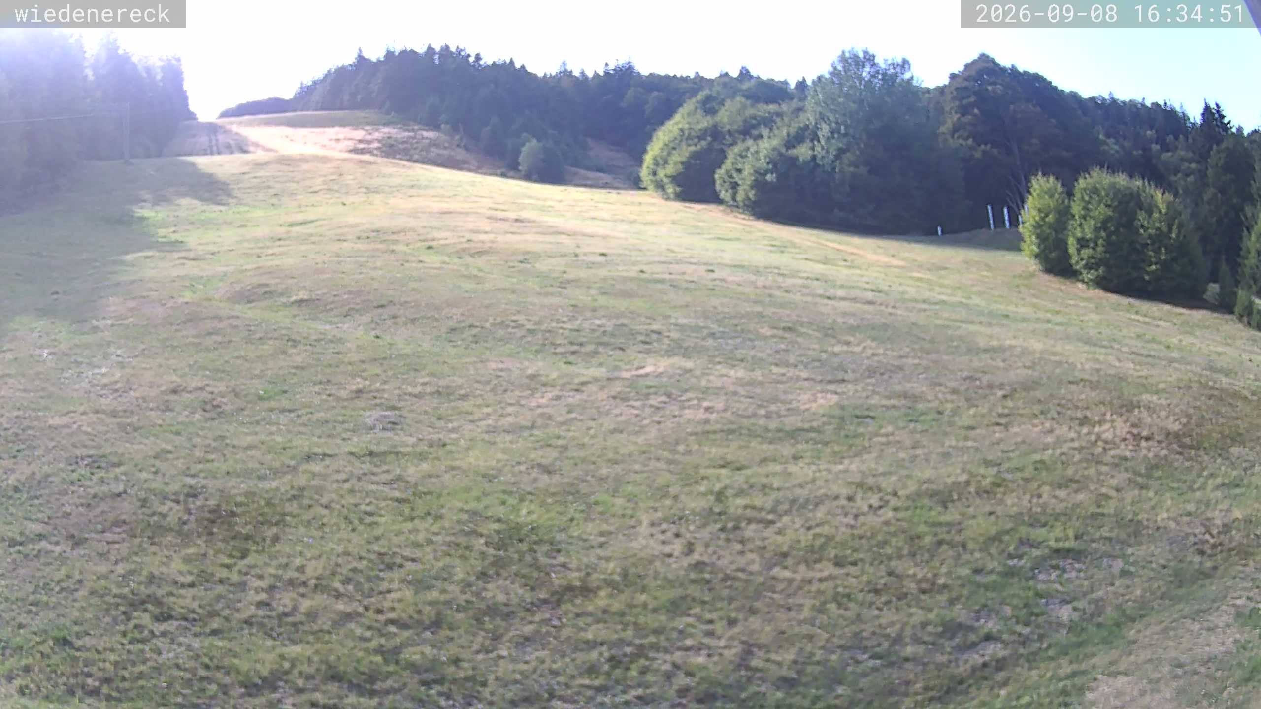Archiv Foto Webcam Münstertal-Wieden: Rollspitz