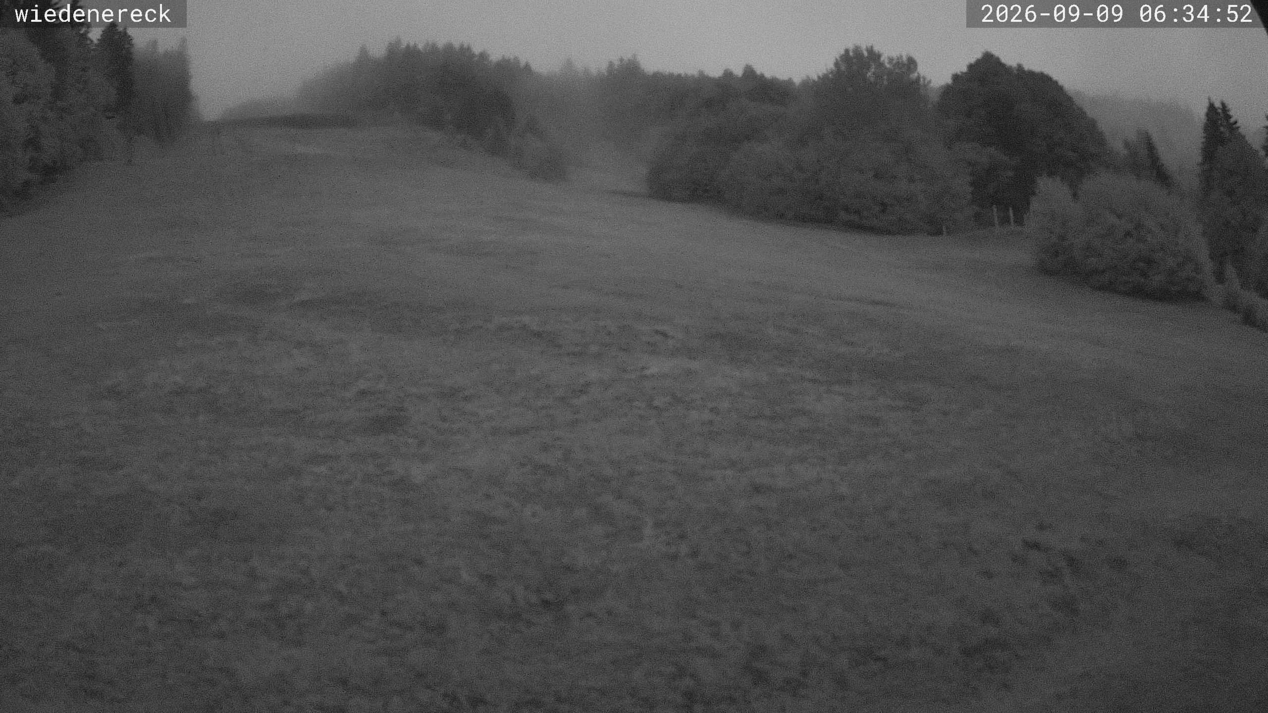 Archived image Webcam Rollspitz Münstertal-Wieden