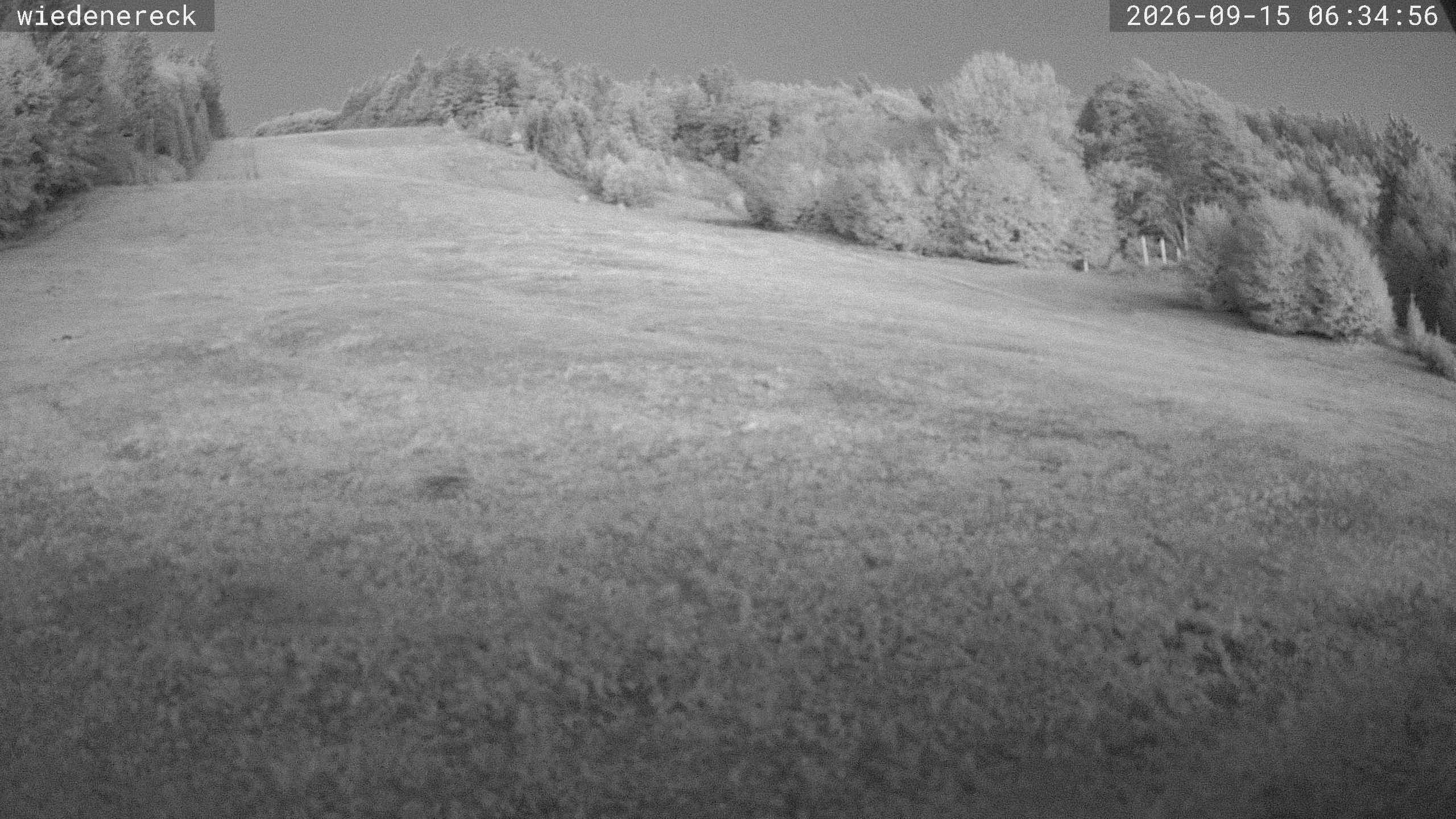 Archiv Foto Webcam Münstertal-Wieden: Rollspitz