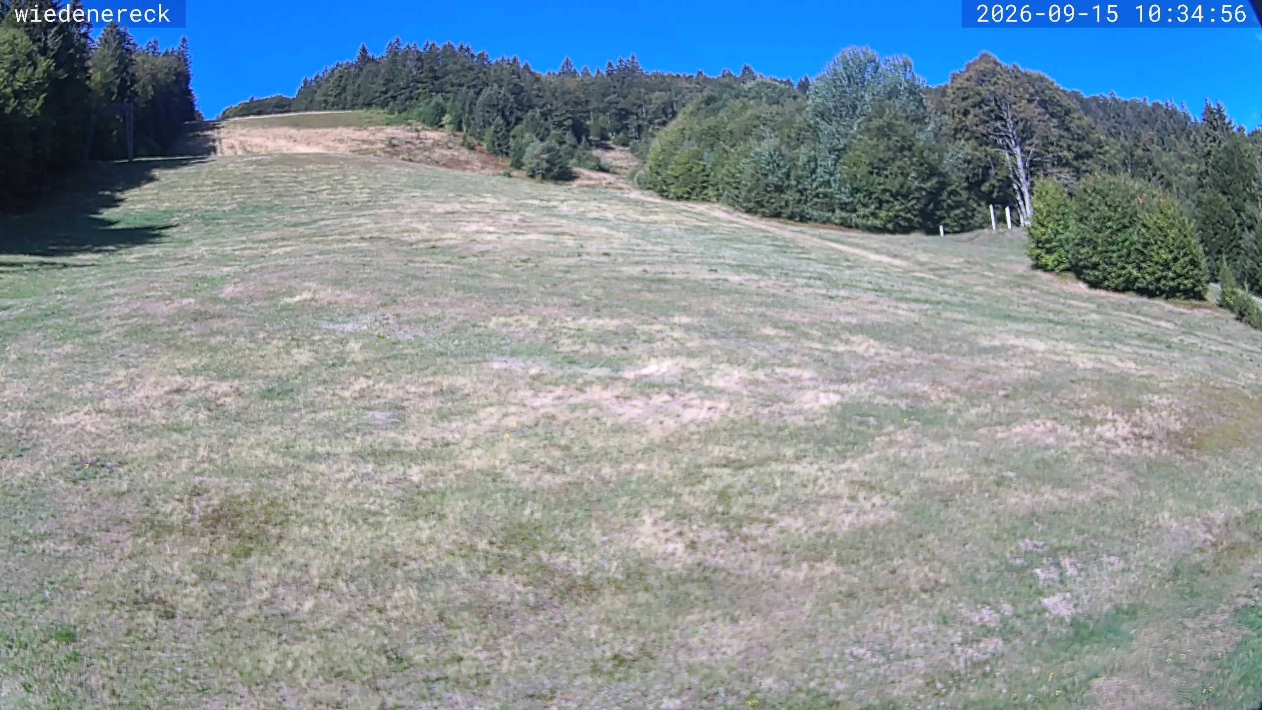 Archiv Foto Webcam Münstertal-Wieden: Rollspitz