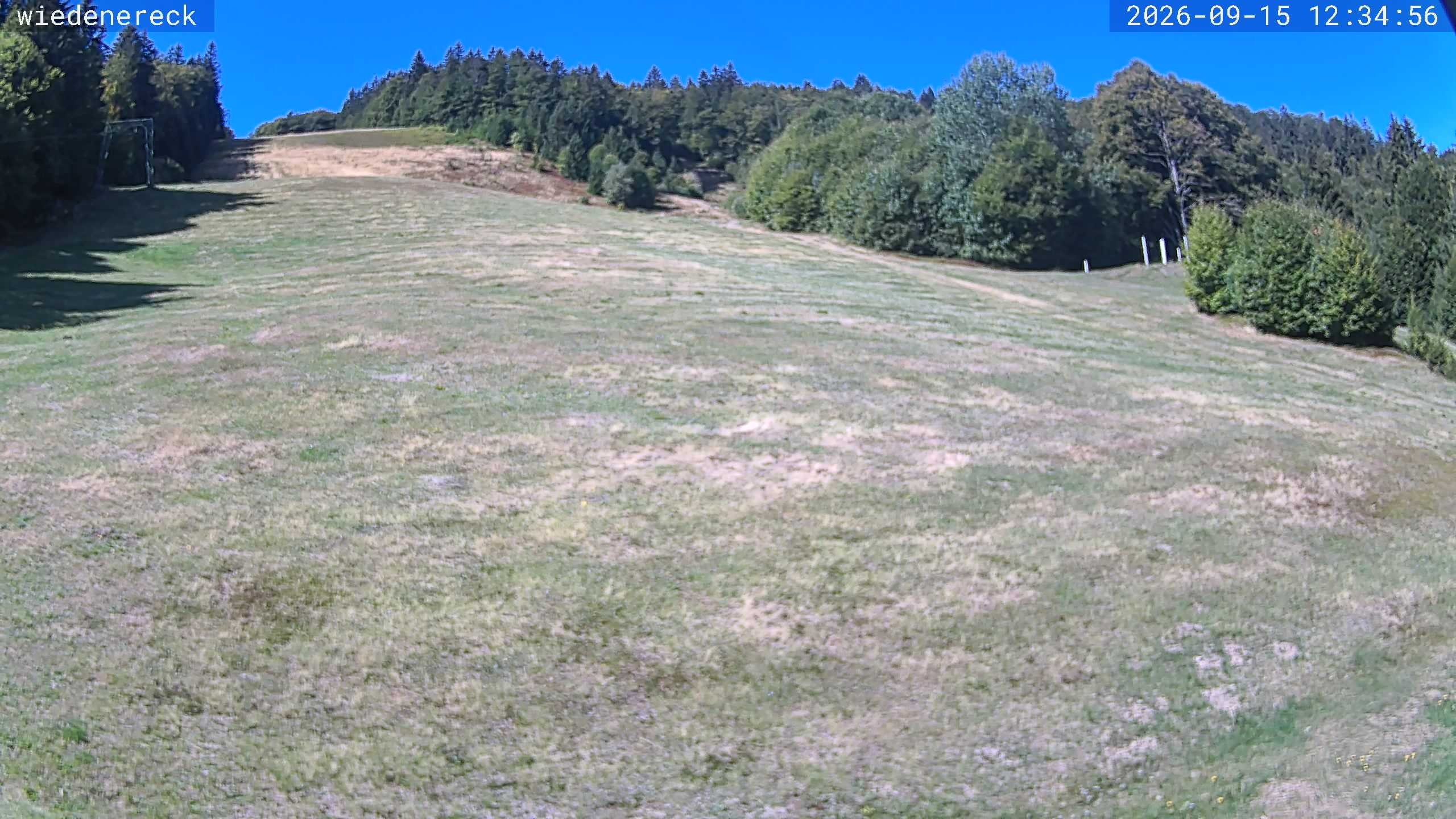 Archiv Foto Webcam Münstertal-Wieden: Rollspitz