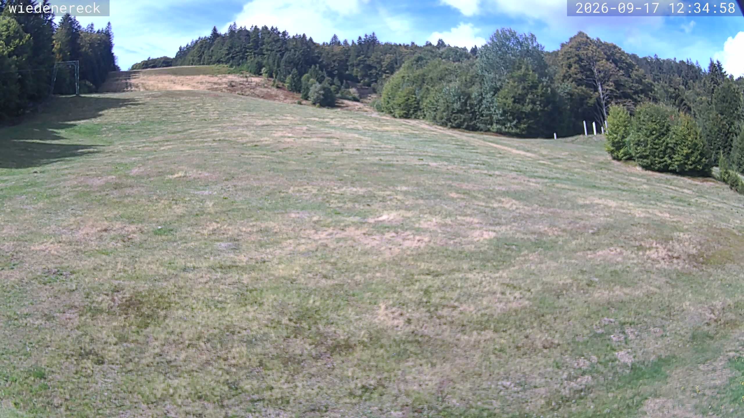 Archiv Foto Webcam Münstertal-Wieden: Rollspitz