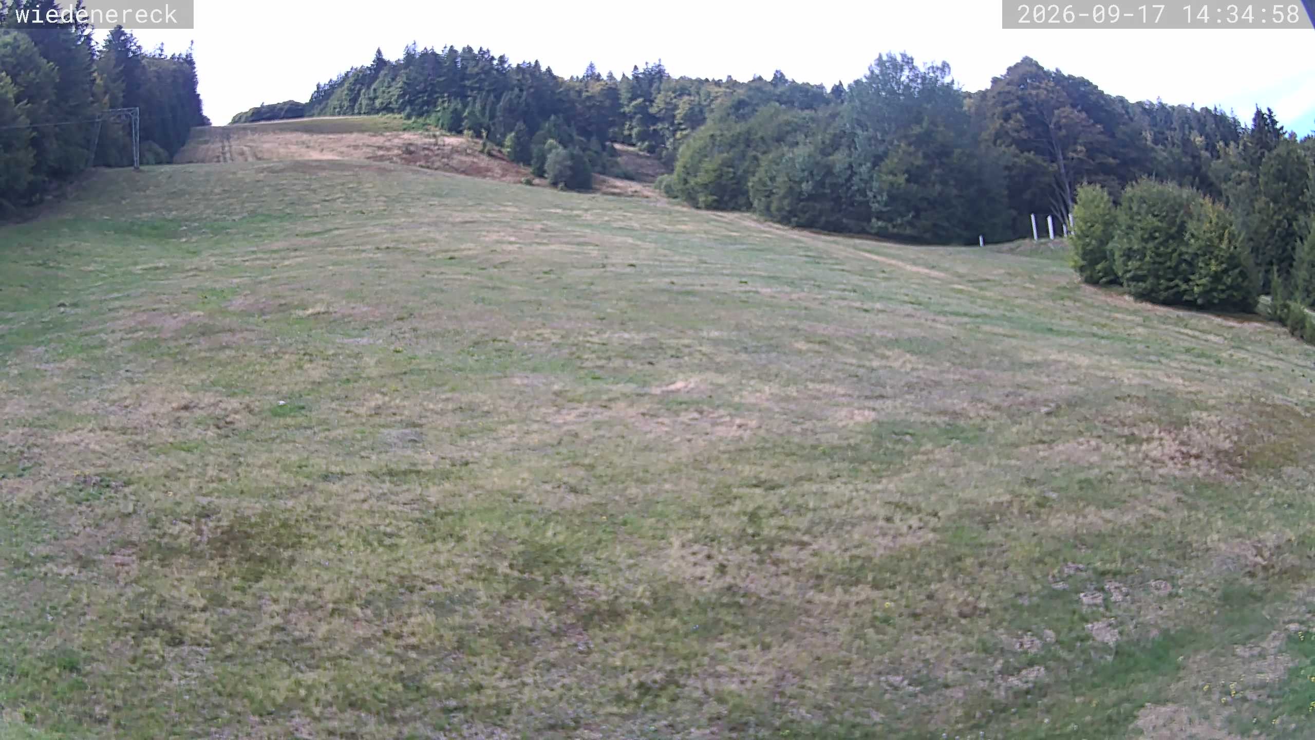 Archiv Foto Webcam Münstertal-Wieden: Rollspitz