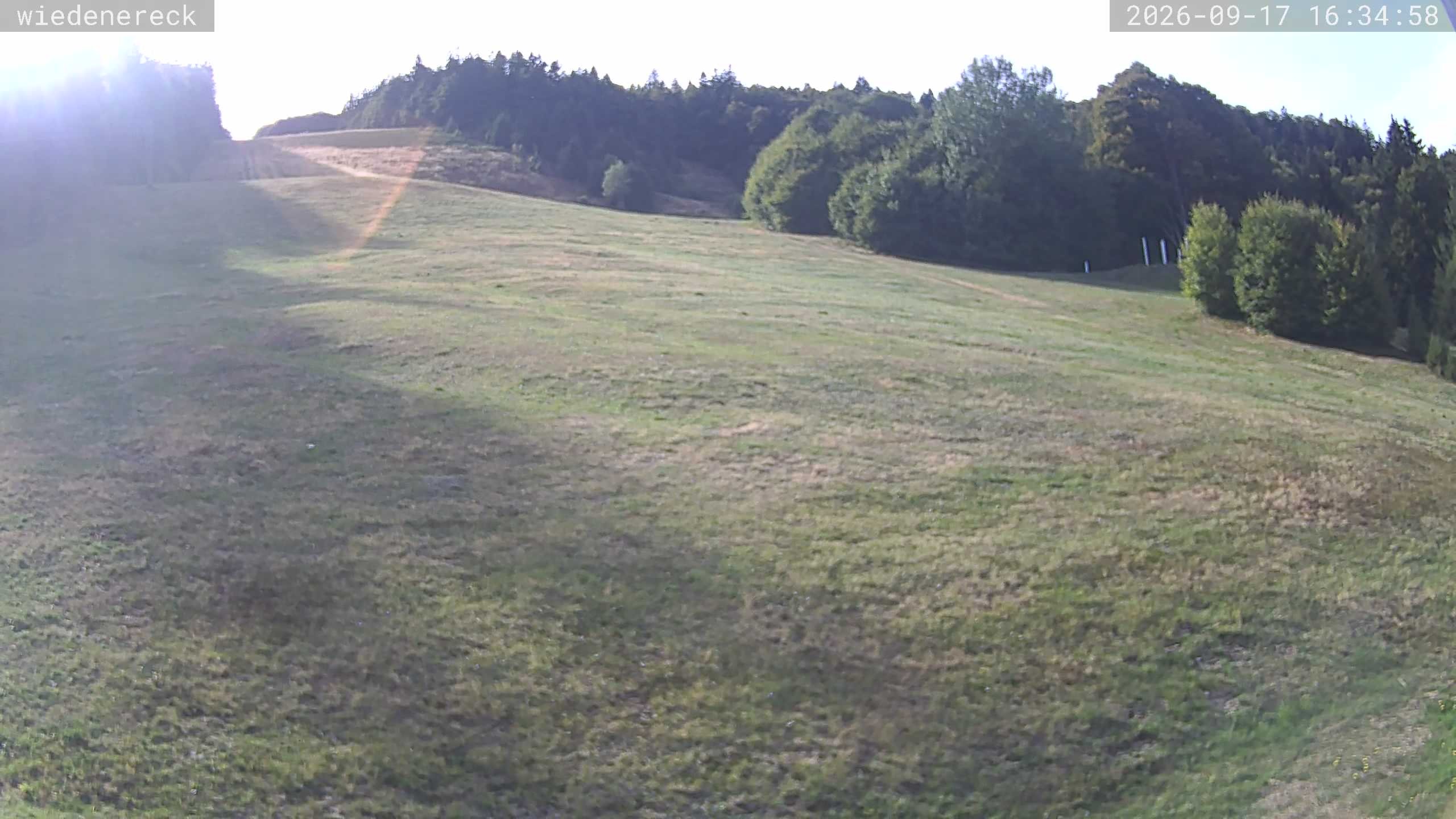 Archiv Foto Webcam Münstertal-Wieden: Rollspitz