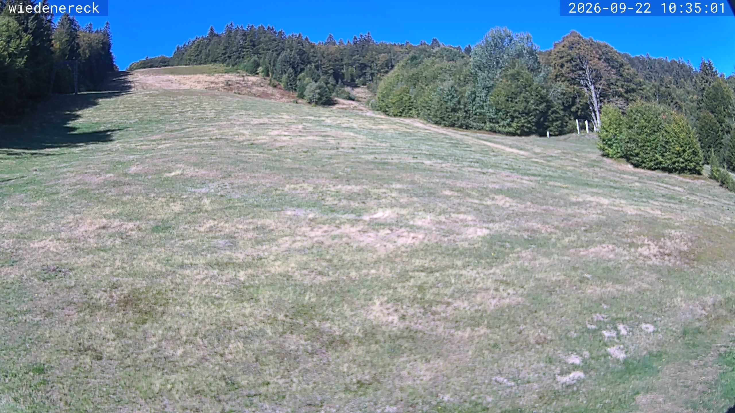 Archived image Webcam Rollspitz Münstertal-Wieden