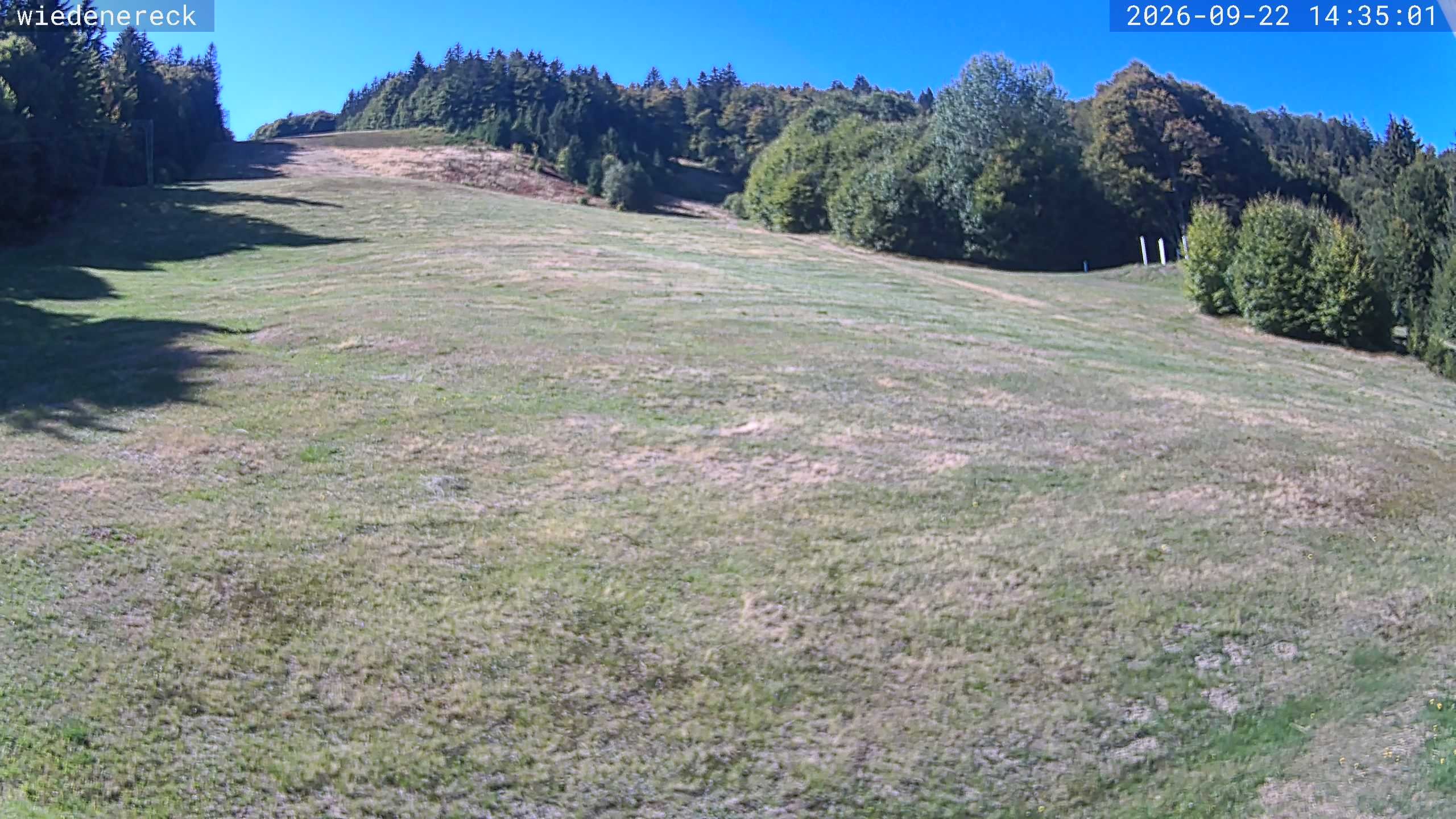 Archived image Webcam Rollspitz Münstertal-Wieden
