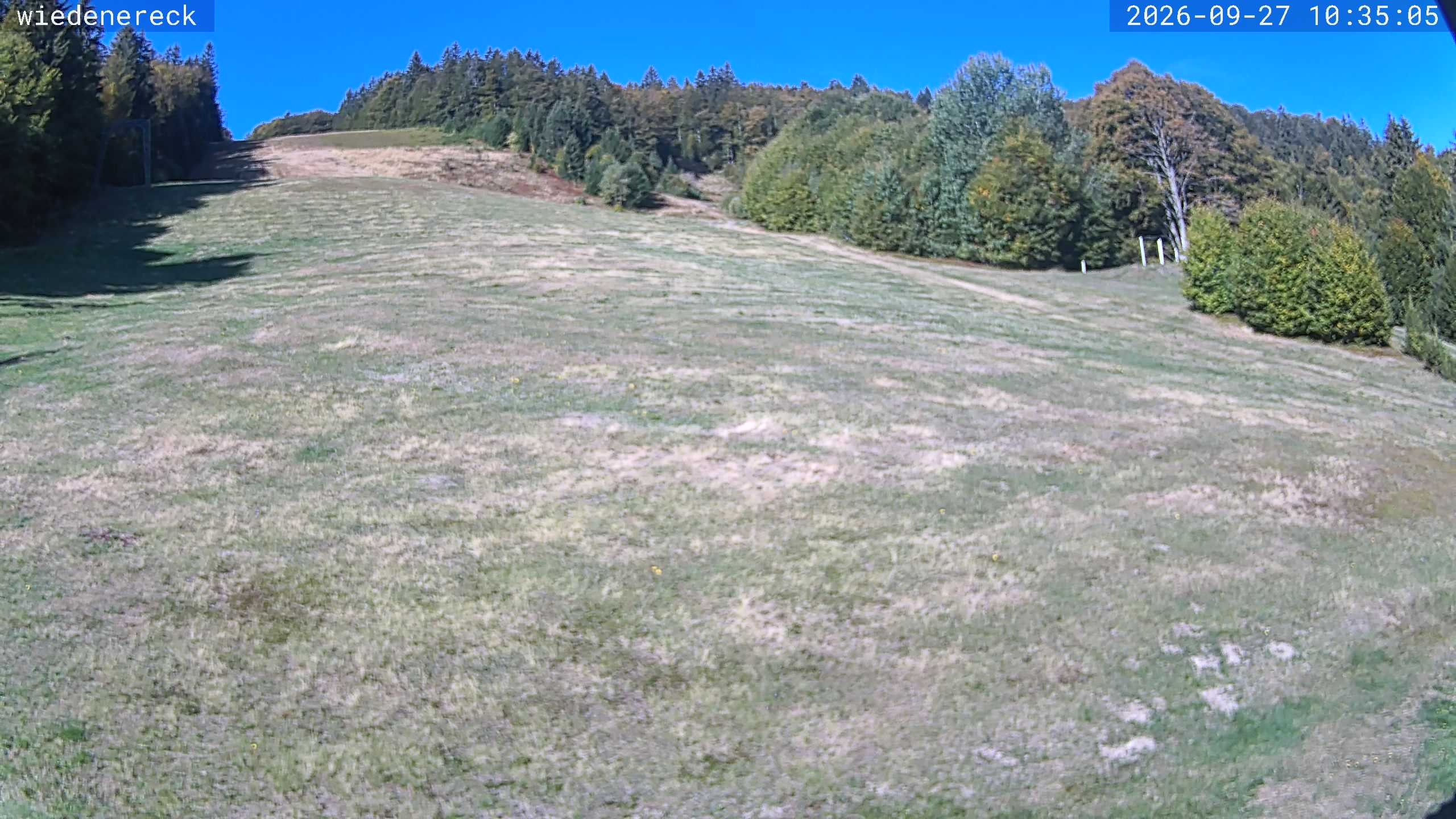 Archiv Foto Webcam Münstertal-Wieden: Rollspitz