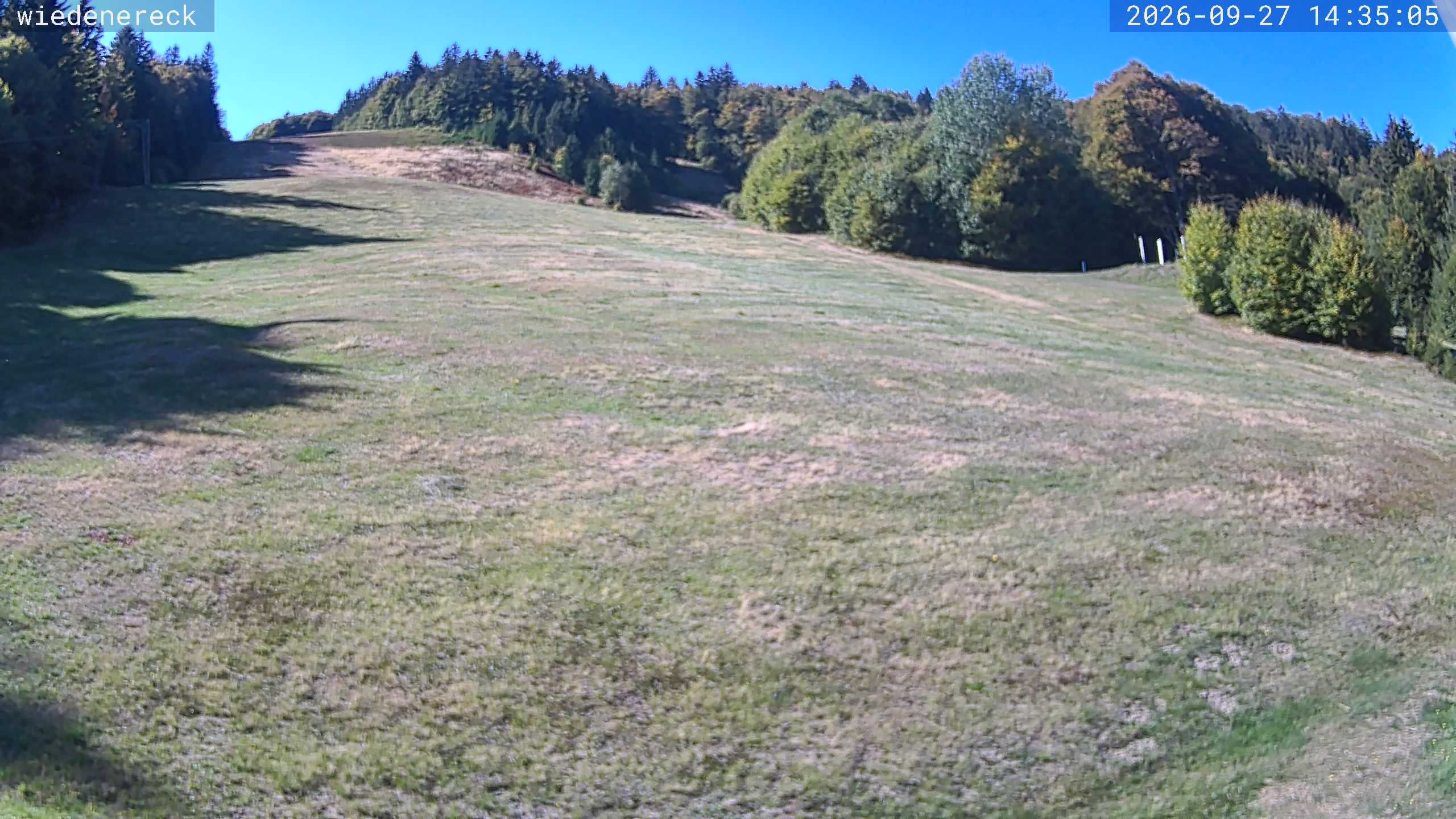Archiv Foto Webcam Münstertal-Wieden: Rollspitz