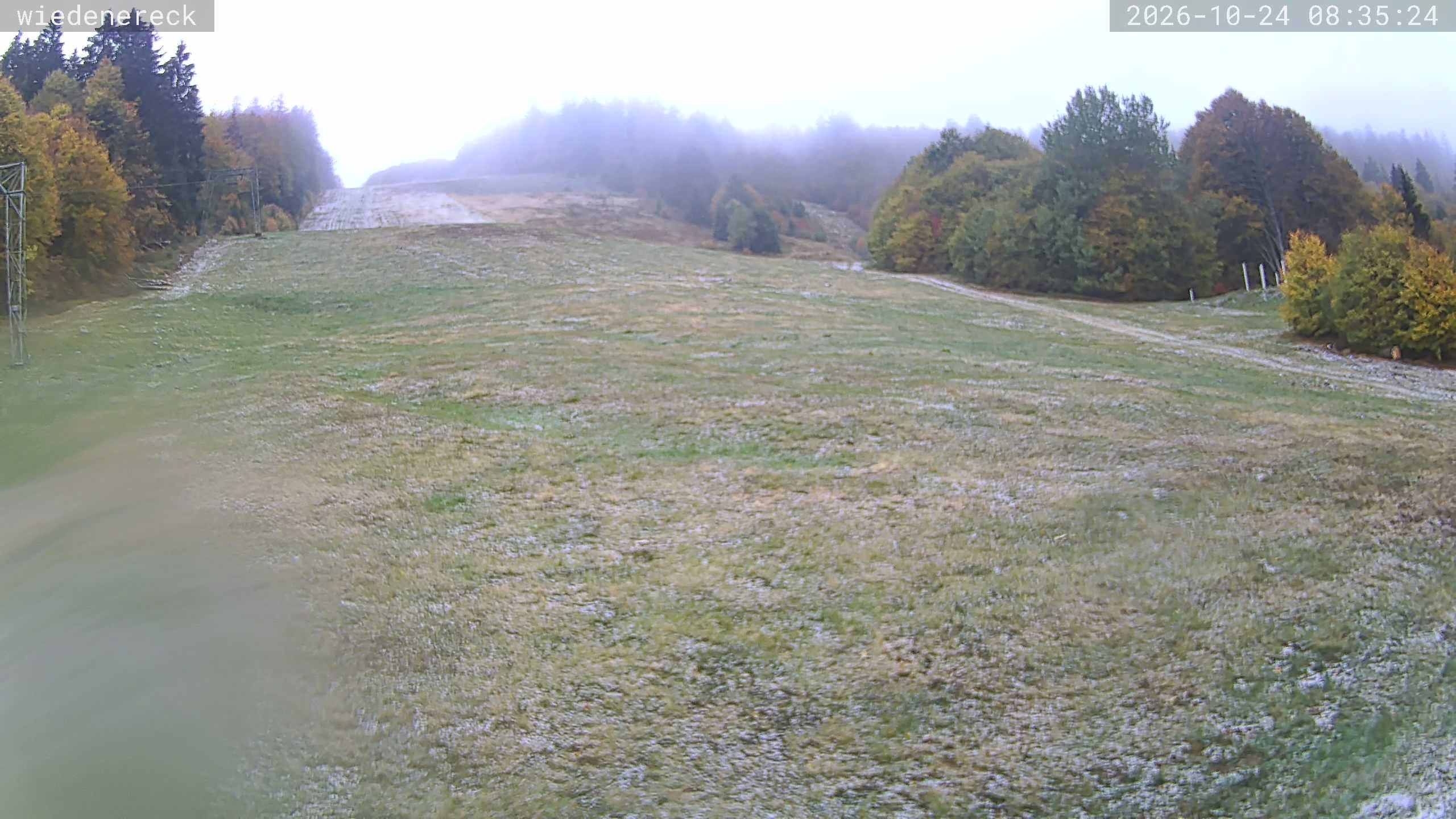 Archived image Webcam Rollspitz Münstertal-Wieden