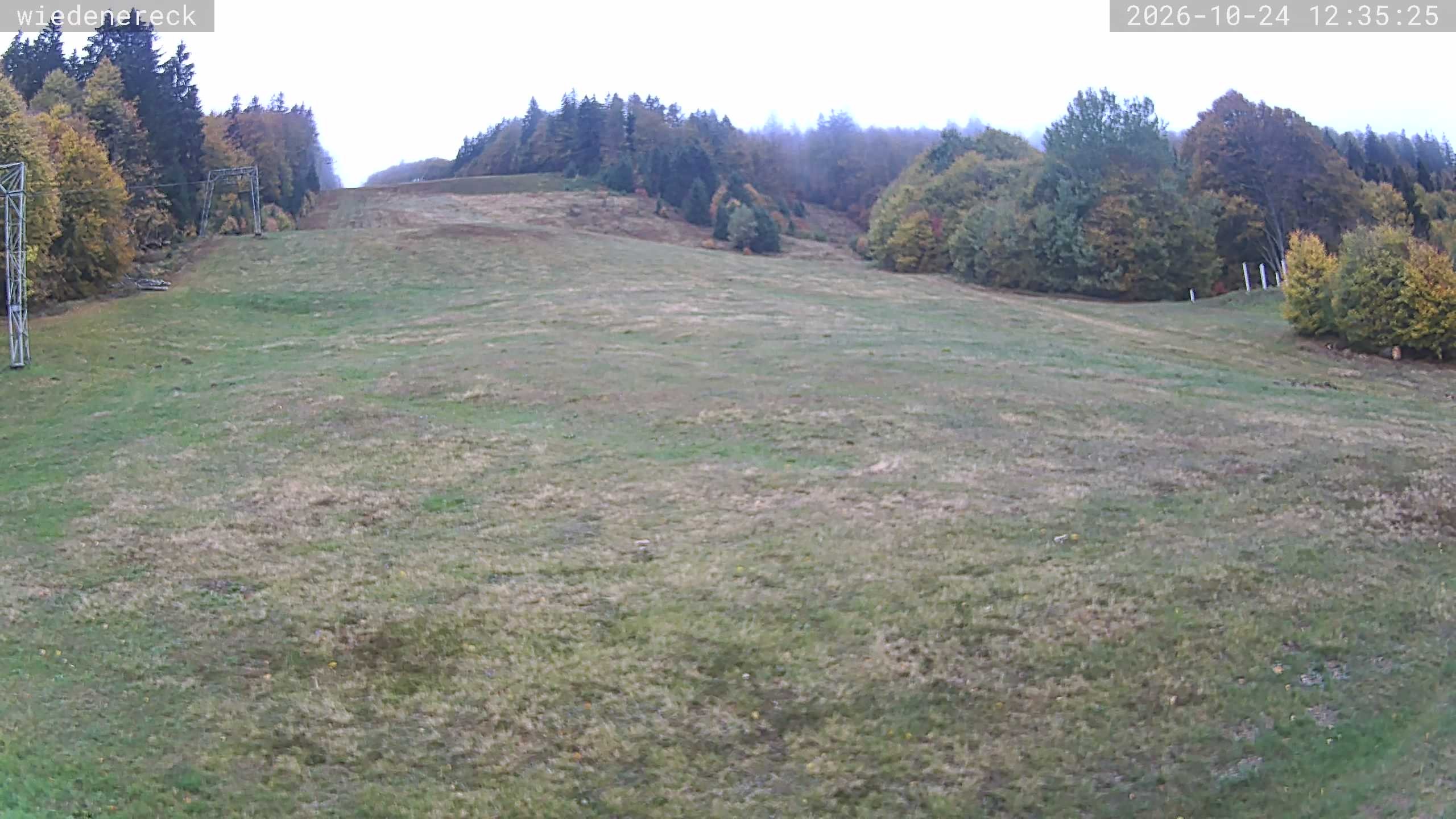 Archived image Webcam Rollspitz Münstertal-Wieden