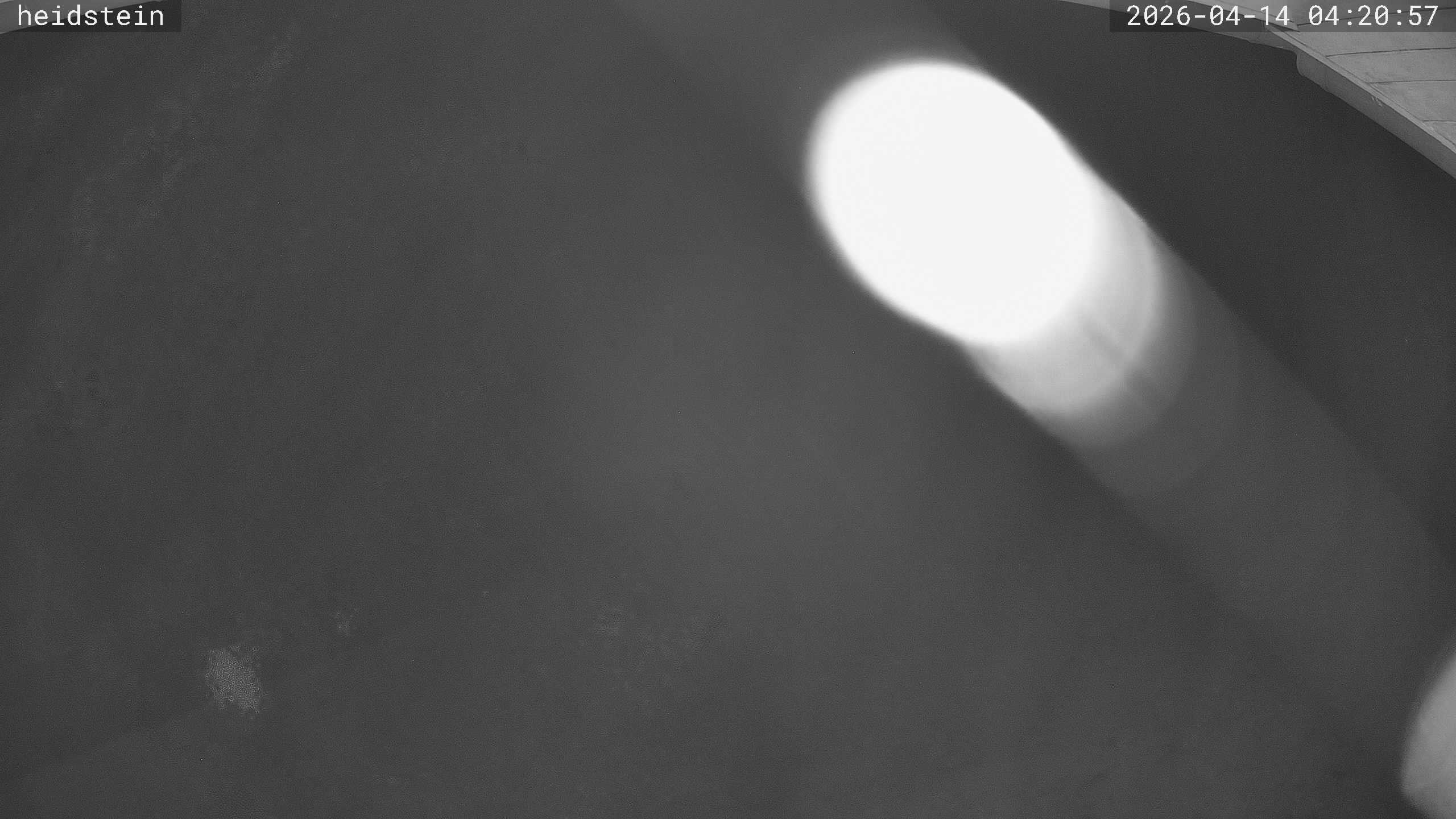 Archiv Foto Webcam Münstertal-Wieden: Heidsteinlift