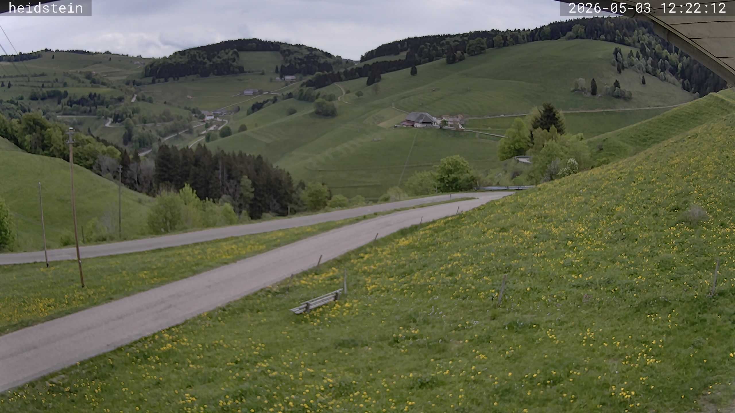 Archiv Foto Webcam Münstertal-Wieden: Heidsteinlift