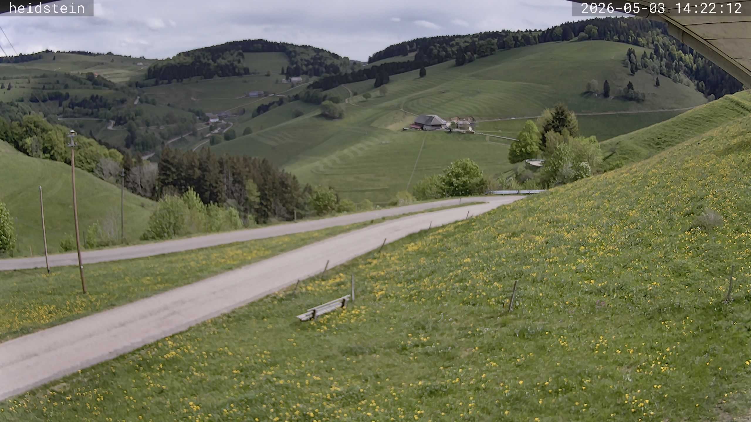 Archiv Foto Webcam Münstertal-Wieden: Heidsteinlift