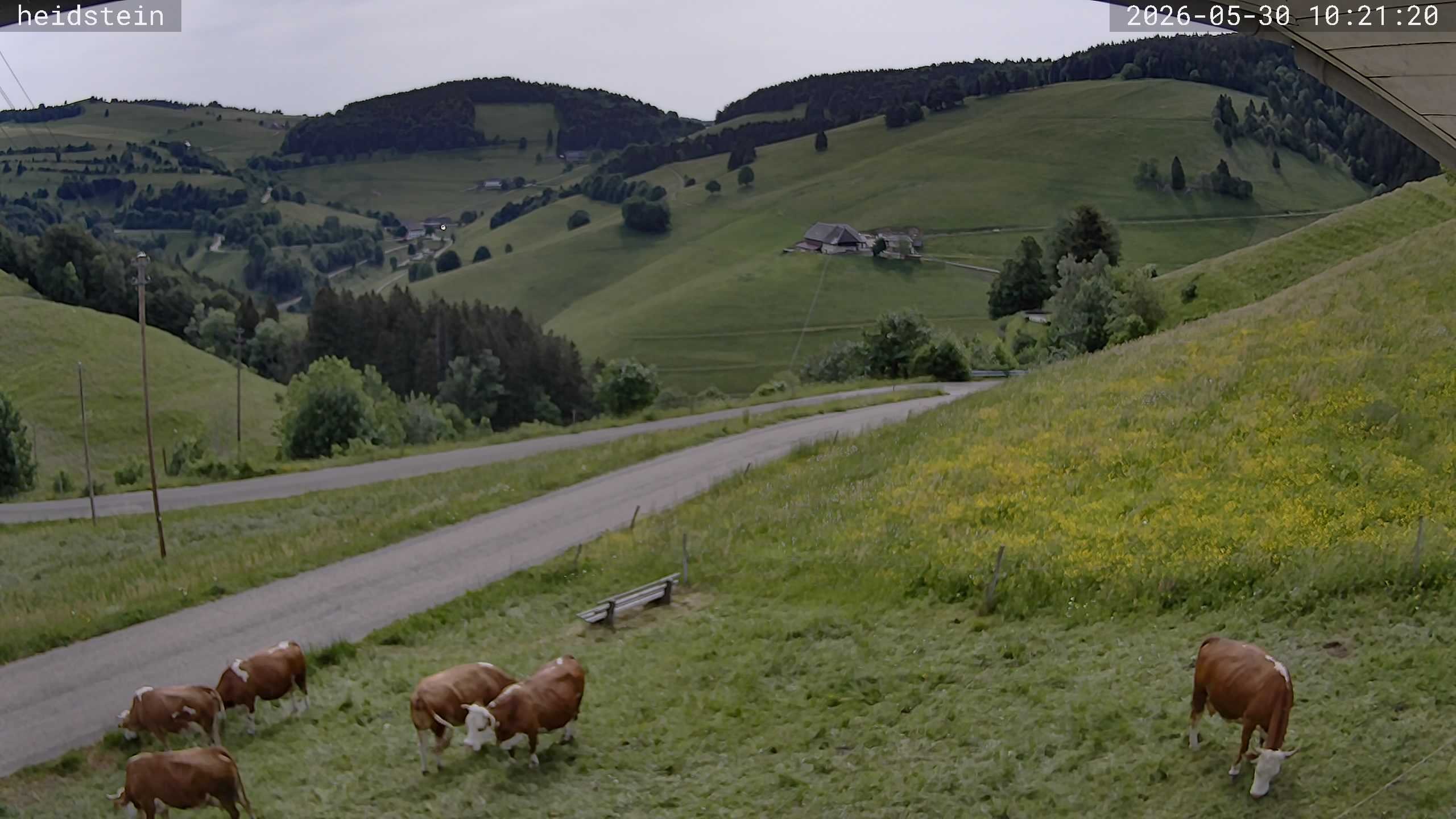 Archived image Webcam Münstertal-Wieden: Heidstein Lift