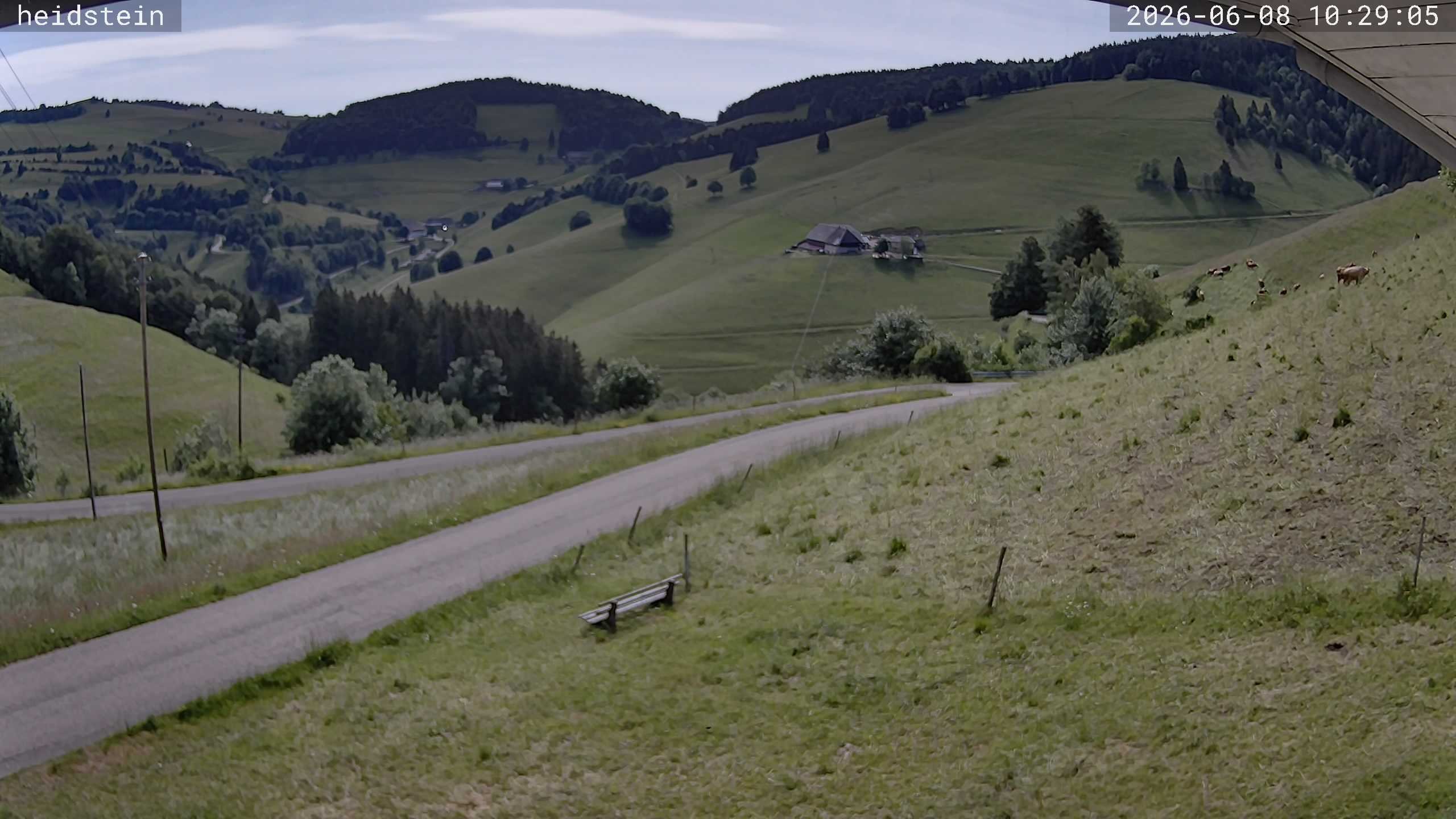Archiv Foto Webcam Münstertal-Wieden: Heidsteinlift