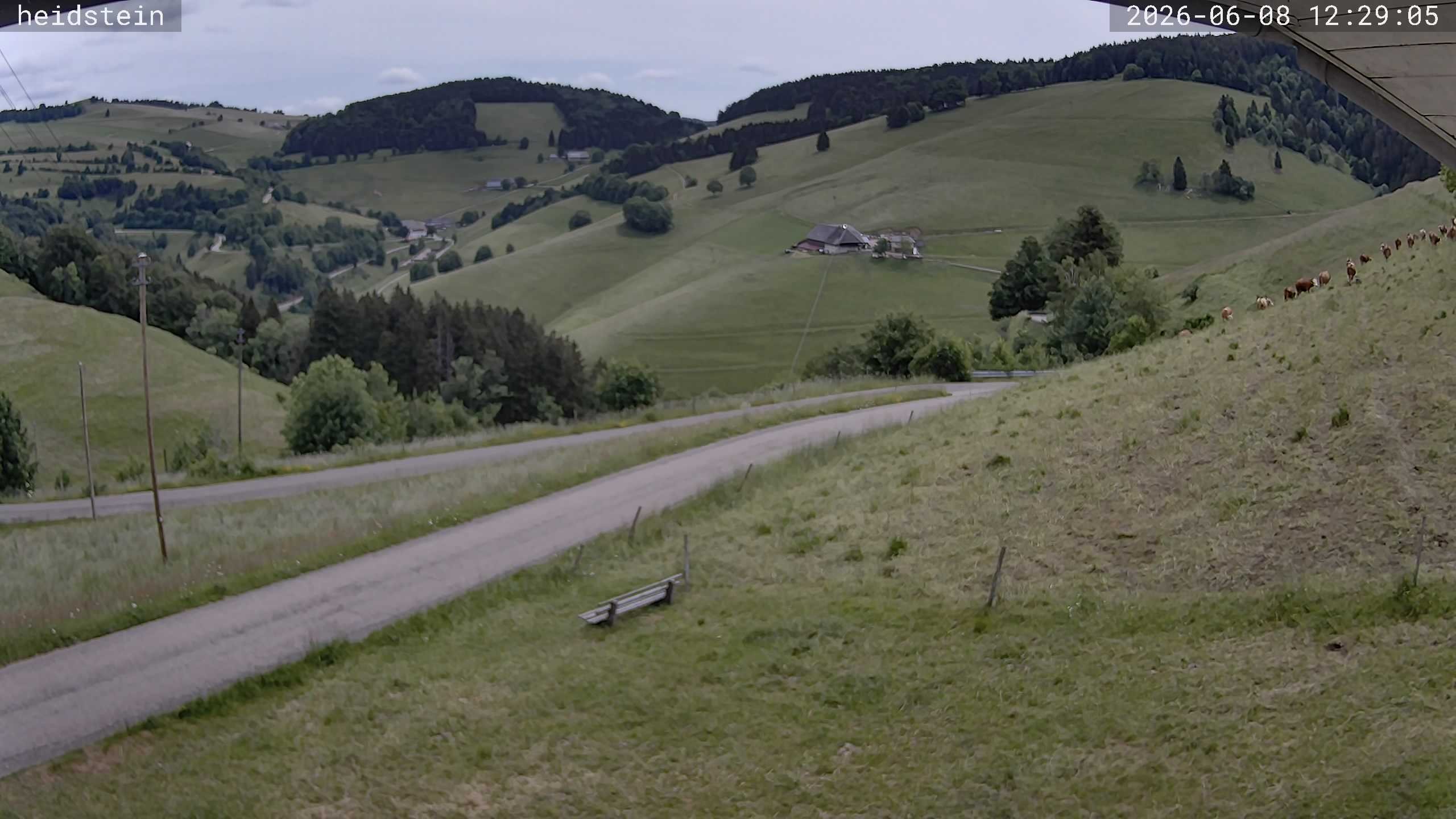 Archiv Foto Webcam Münstertal-Wieden: Heidsteinlift