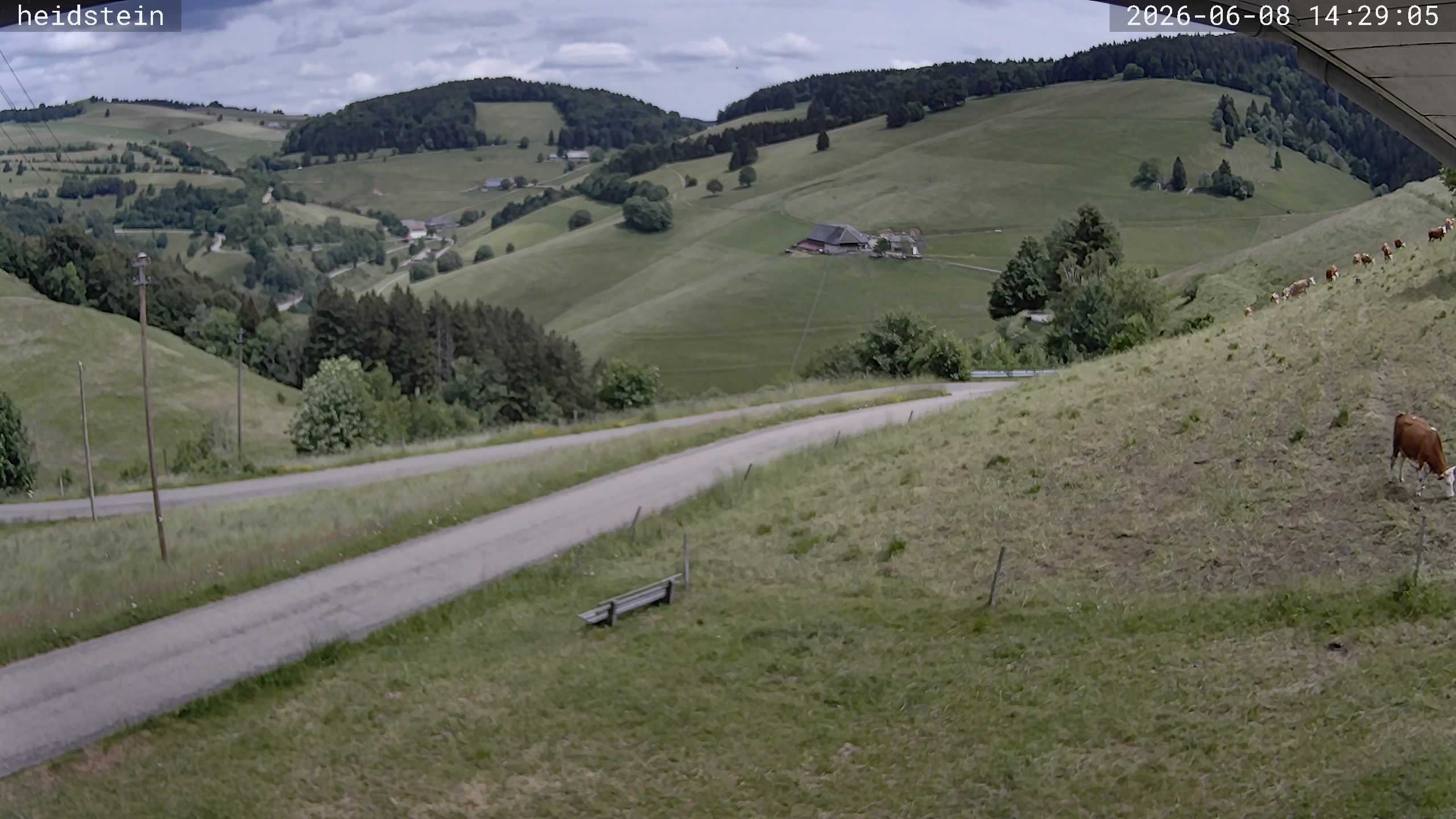Archiv Foto Webcam Münstertal-Wieden: Heidsteinlift