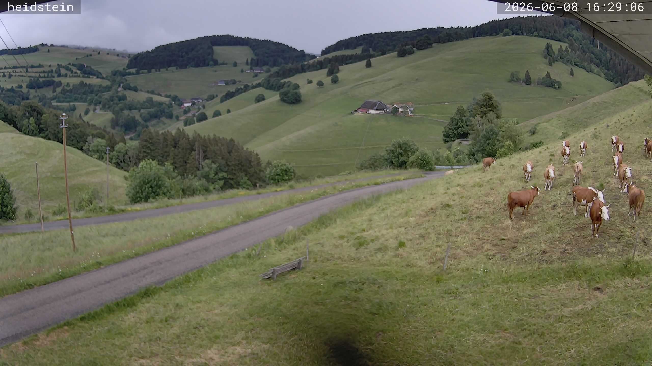 Archiv Foto Webcam Münstertal-Wieden: Heidsteinlift