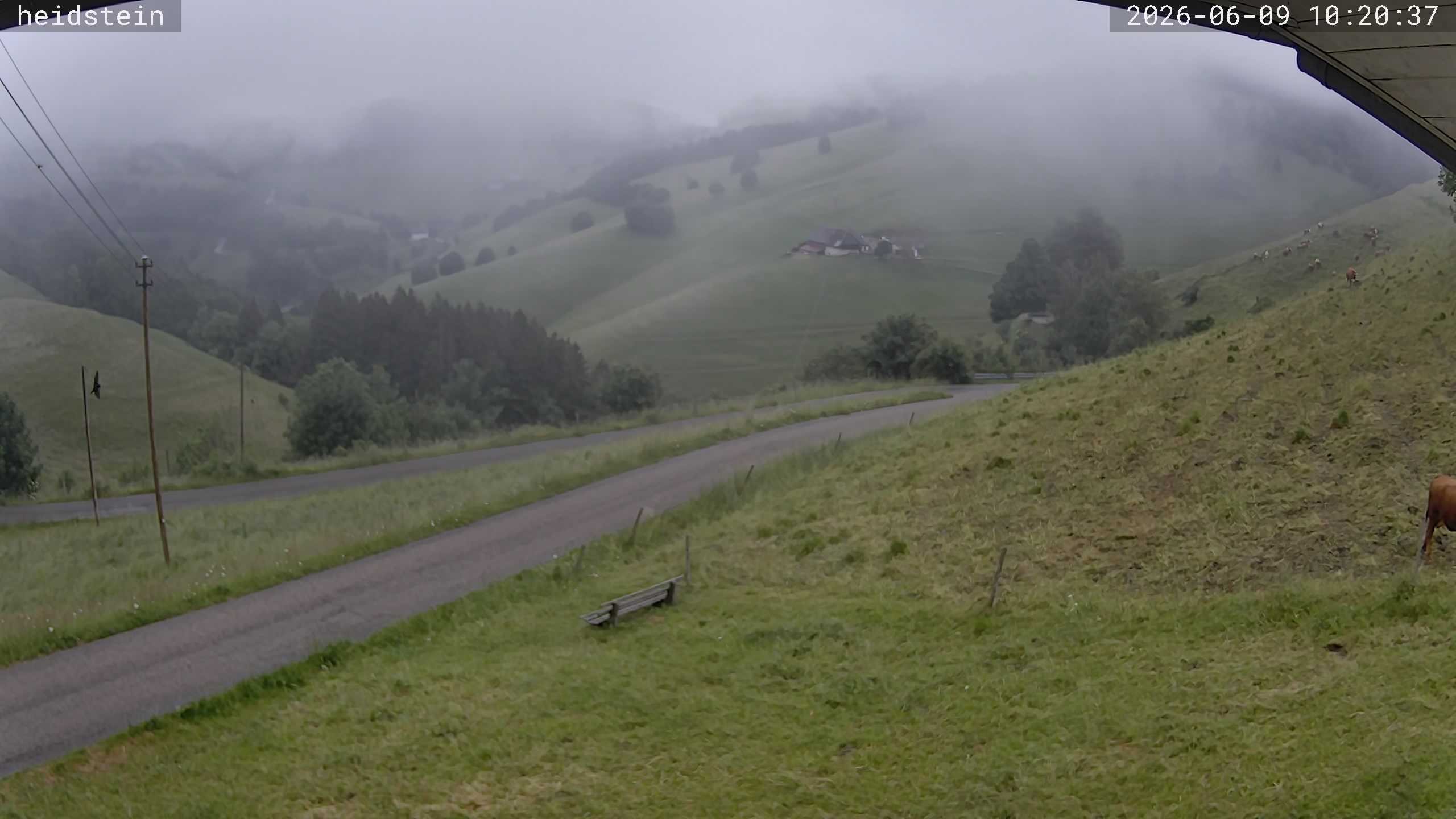 Archiv Foto Webcam Münstertal-Wieden: Heidsteinlift