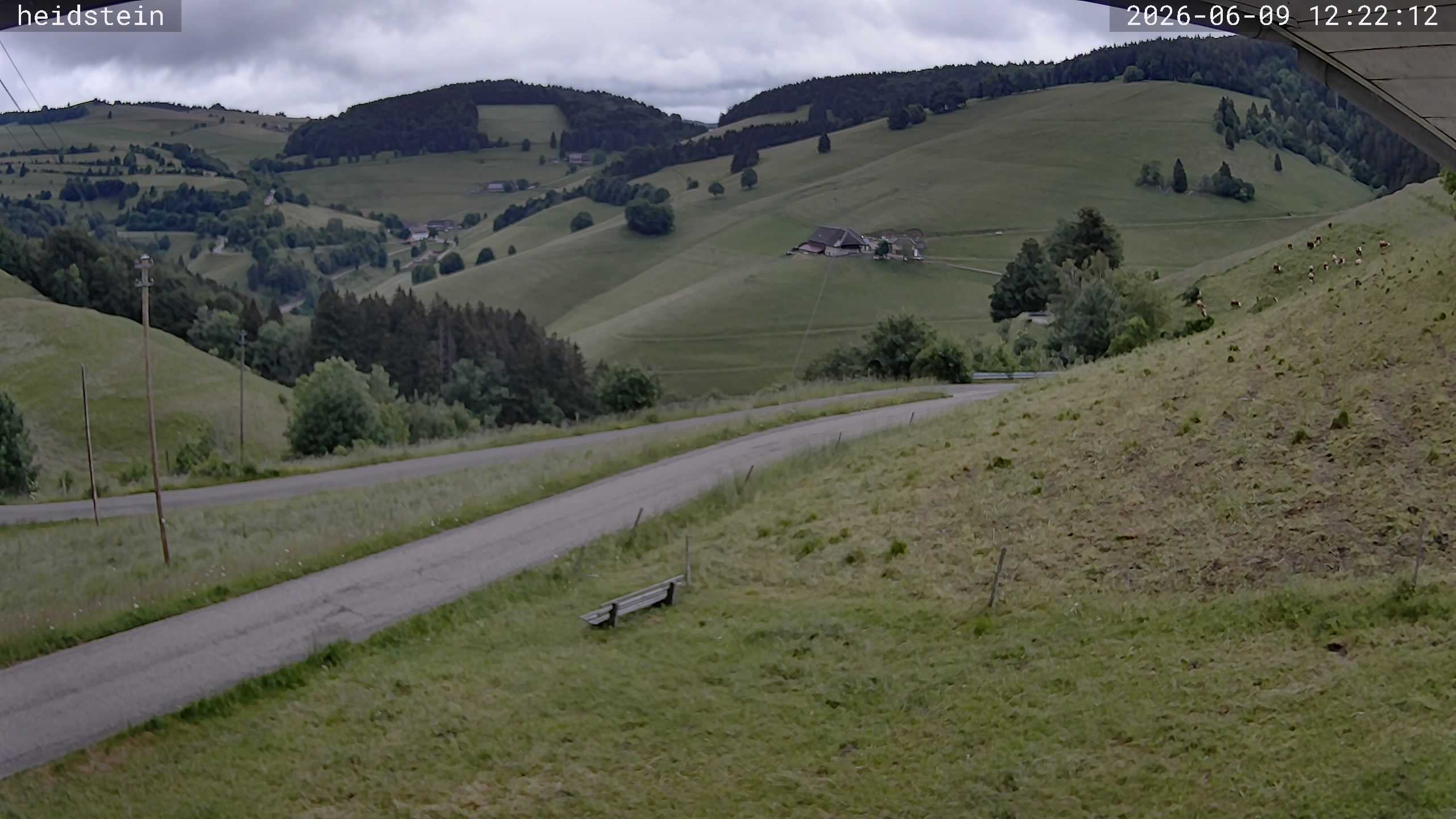 Archiv Foto Webcam Münstertal-Wieden: Heidsteinlift