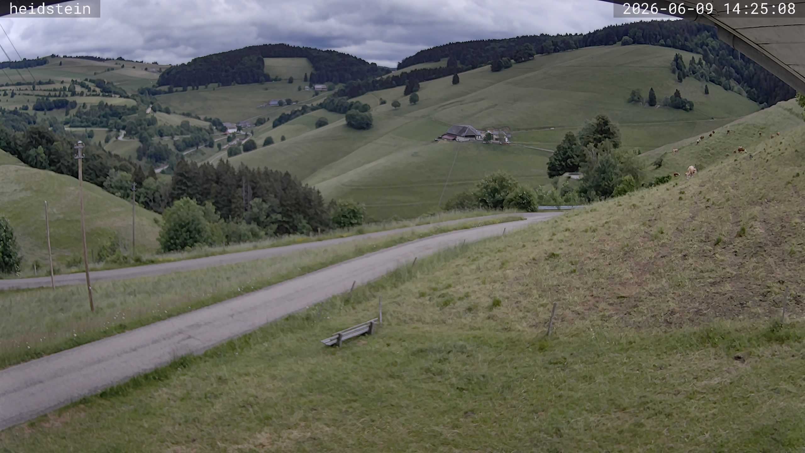 Archiv Foto Webcam Münstertal-Wieden: Heidsteinlift