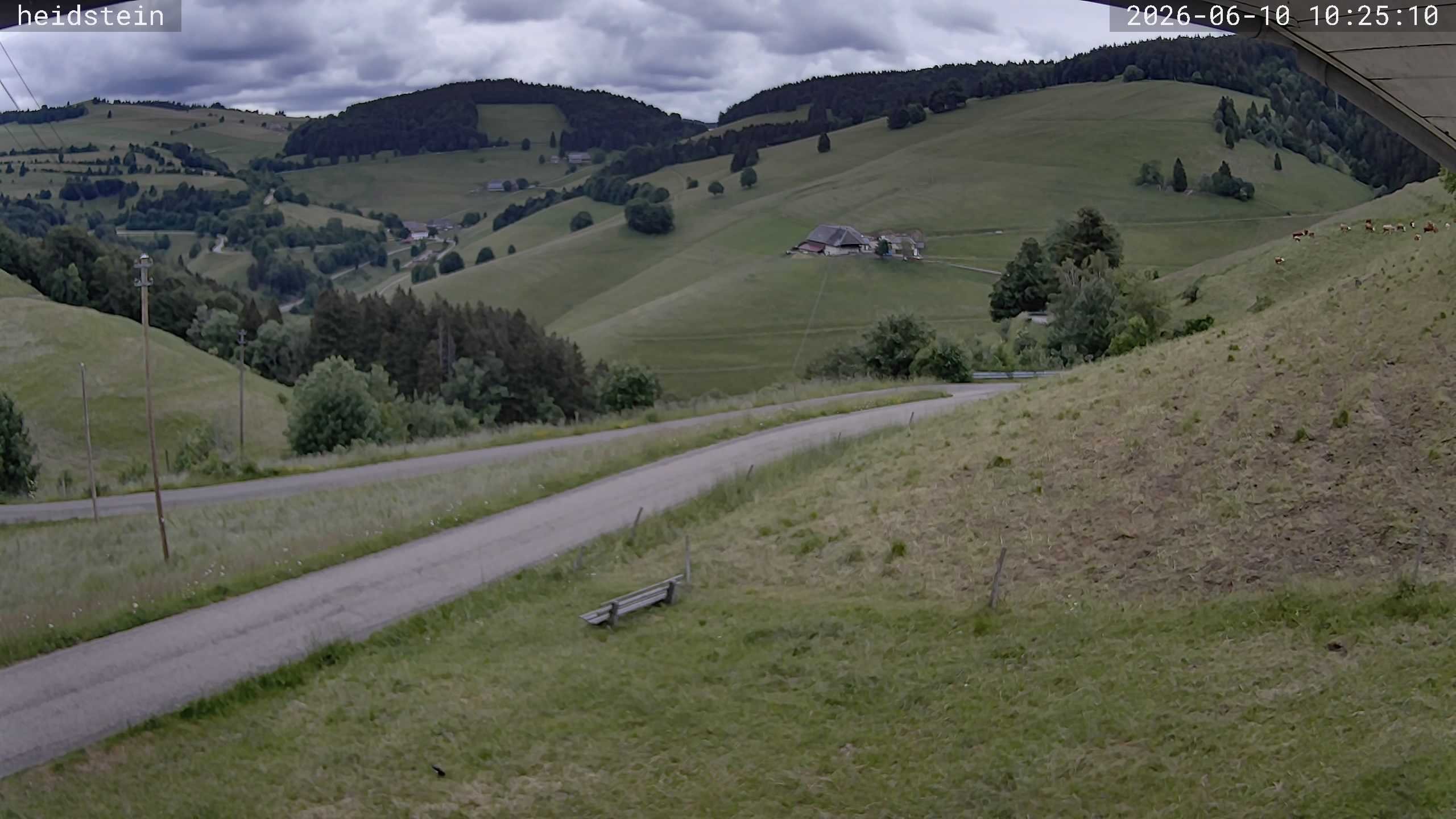 Archived image Webcam Münstertal-Wieden: Heidstein Lift